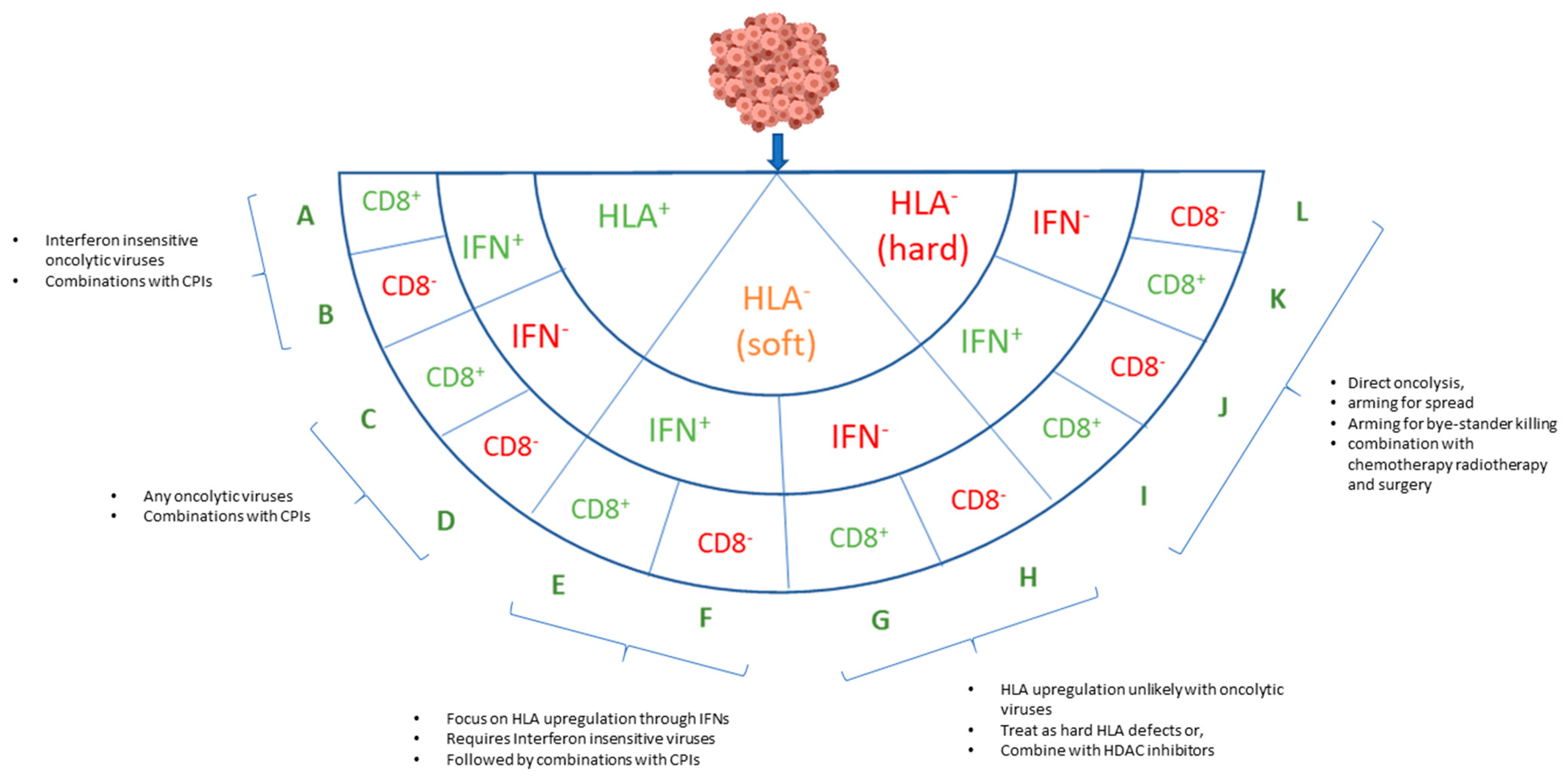 Cancers 13 00719 g002