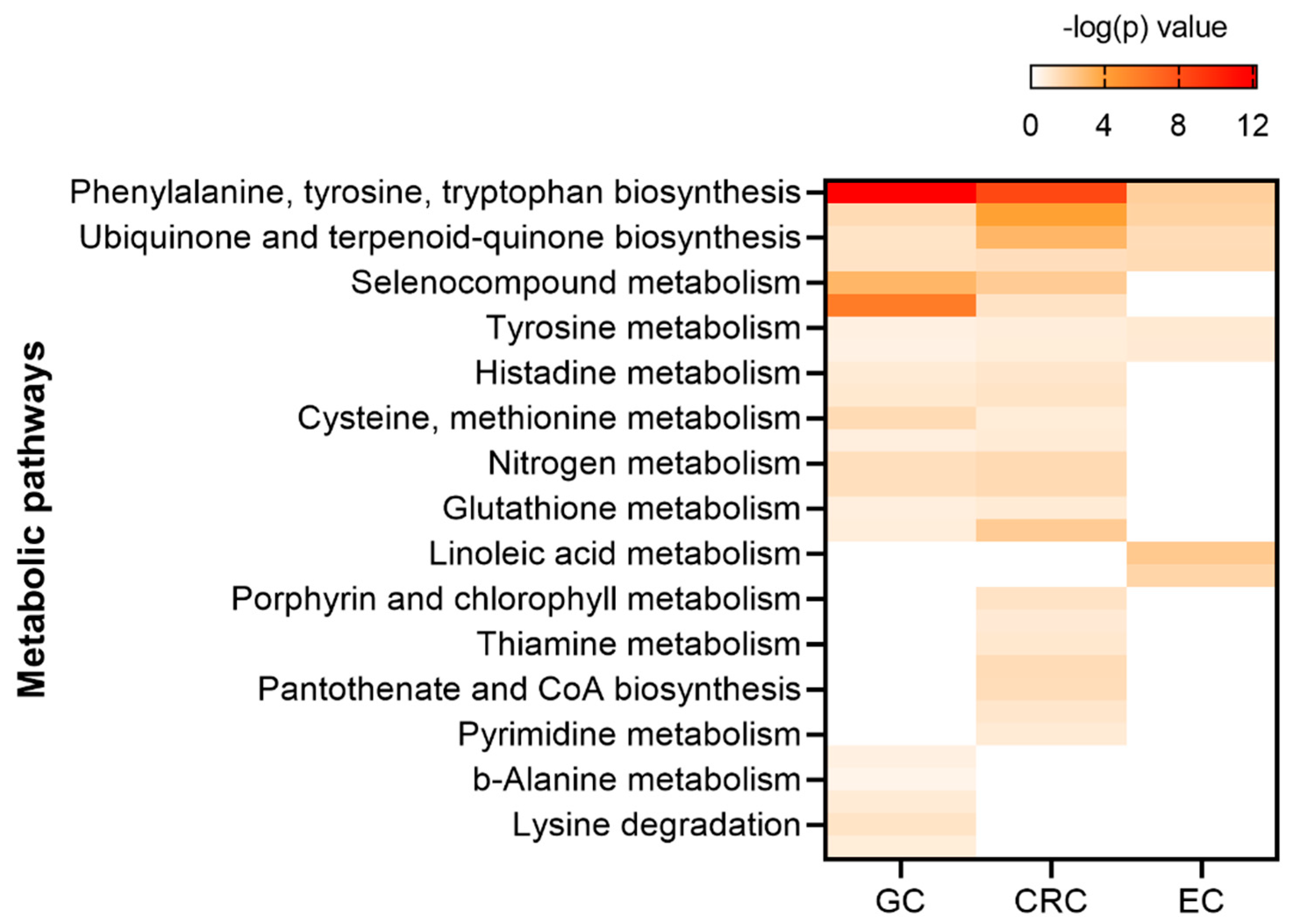 Cancers 13 00720 g007