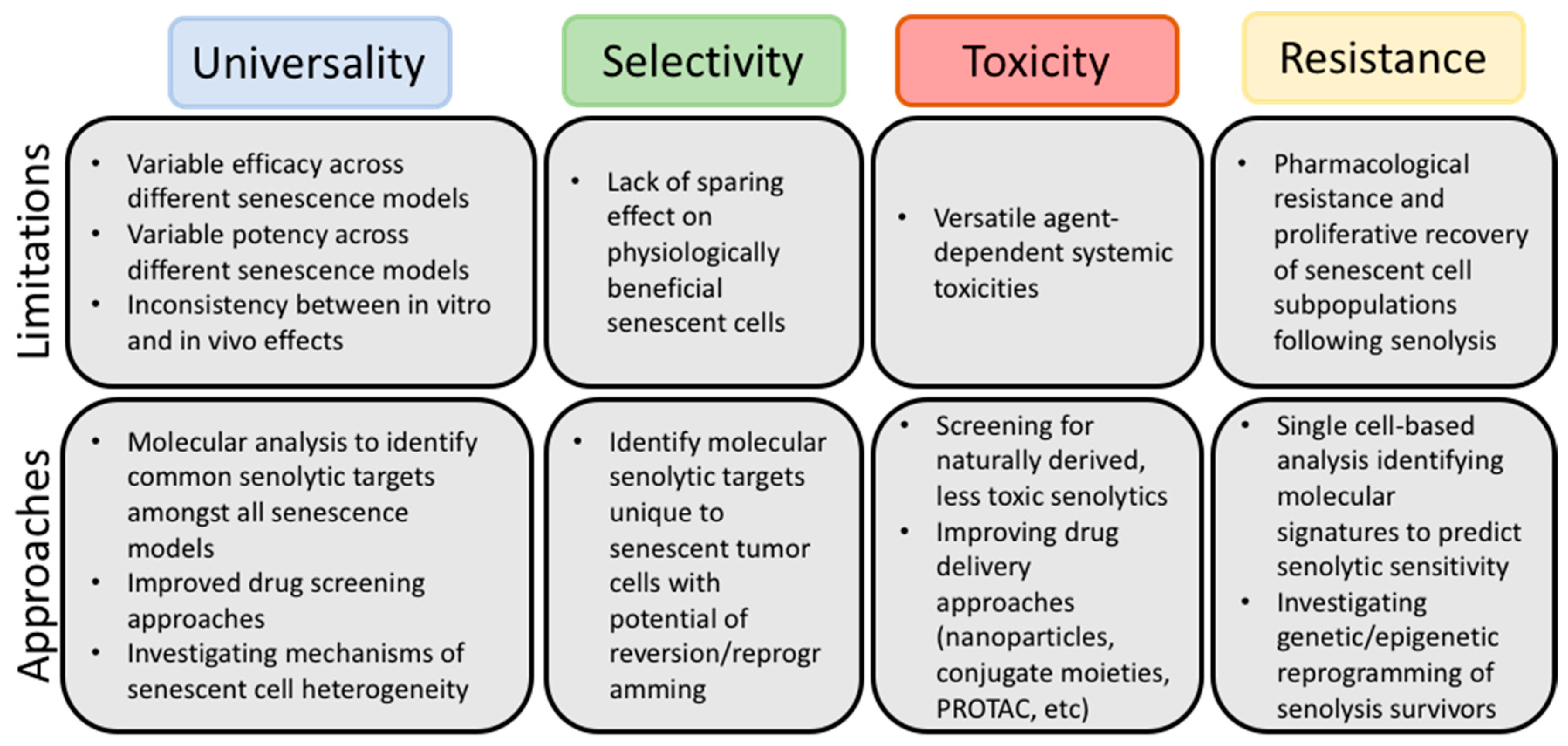 Cancers 13 00723 g001