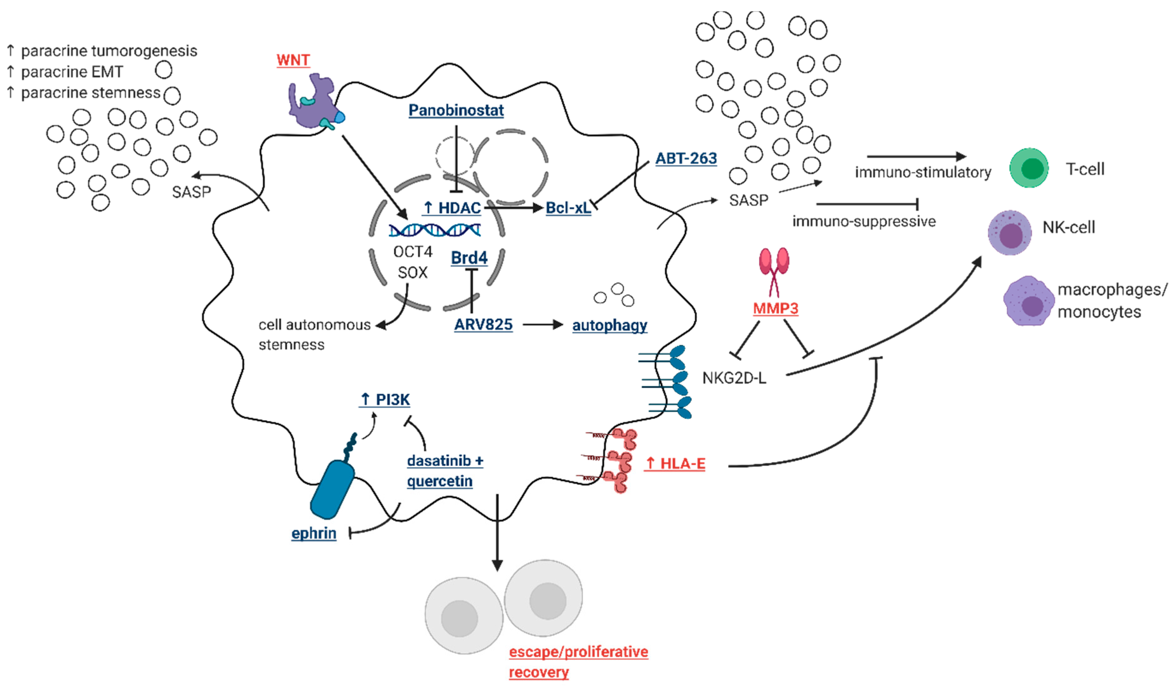Cancers 13 00723 g002