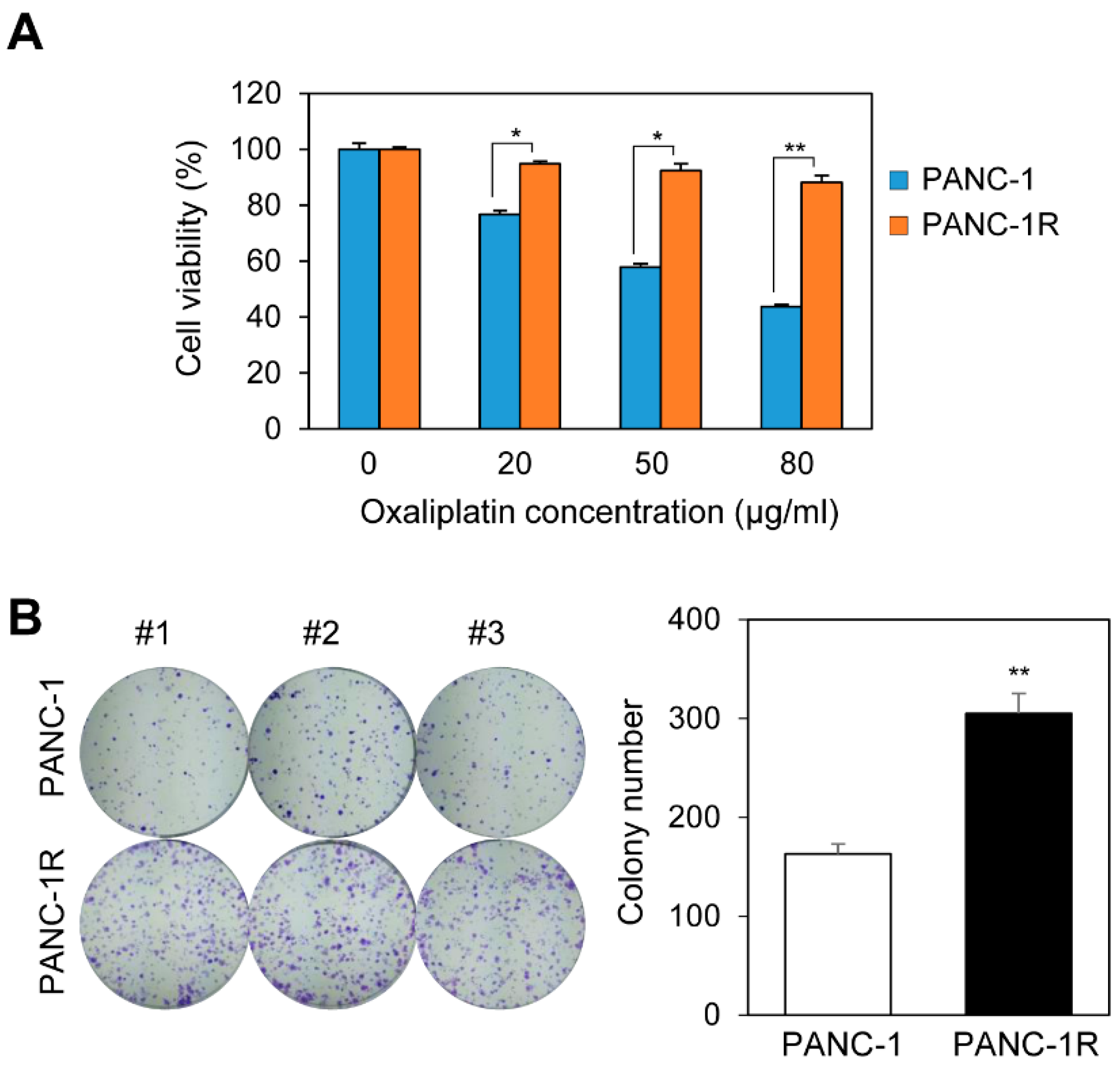Cancers 13 00724 g001