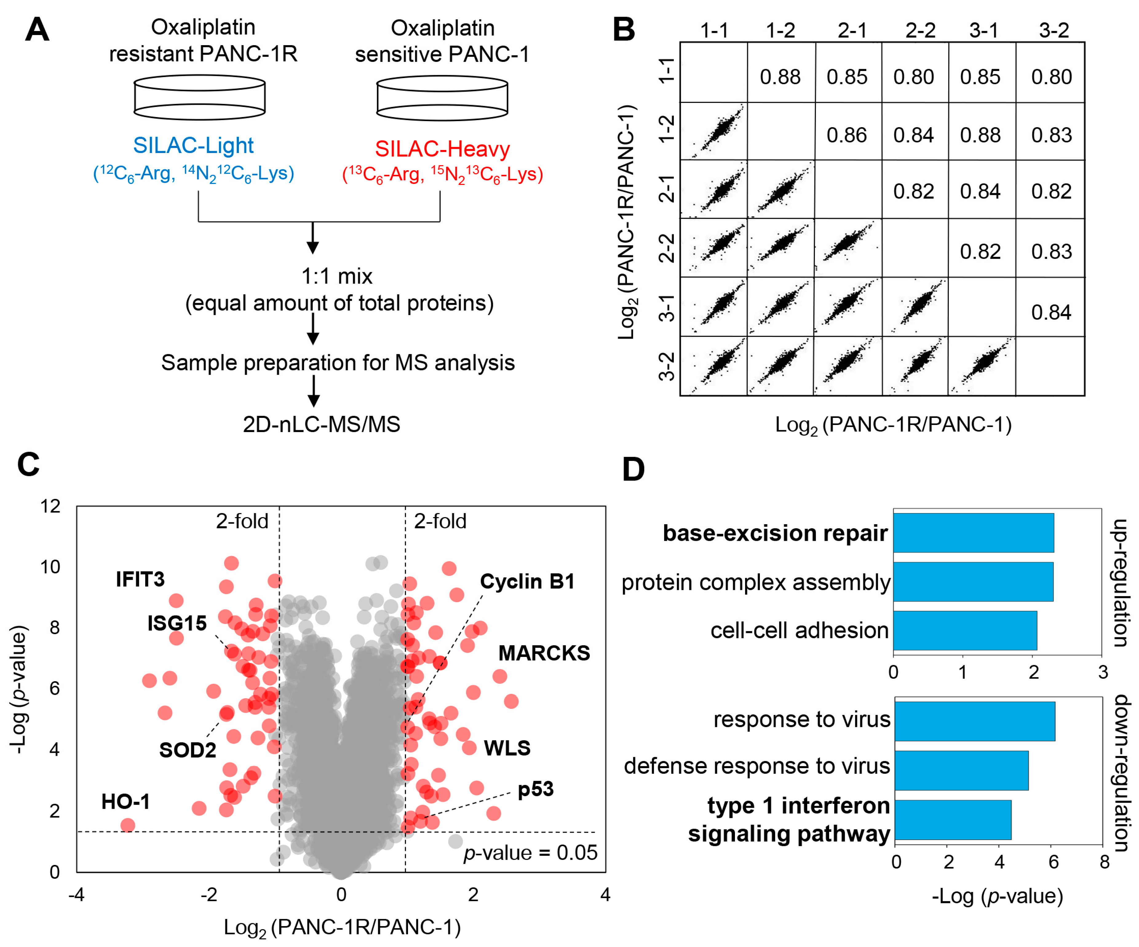 Cancers 13 00724 g002
