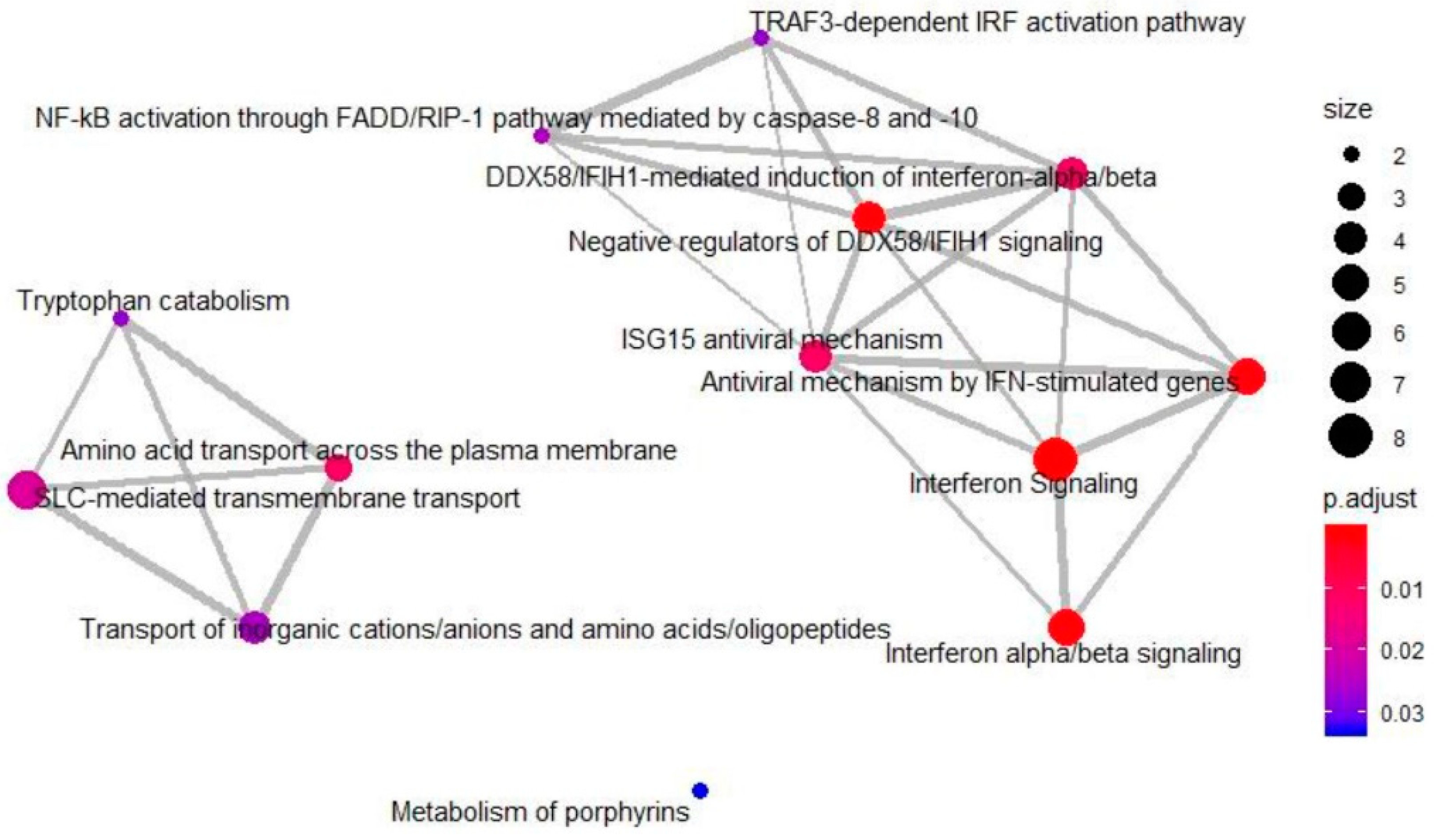 Cancers 13 00724 g003
