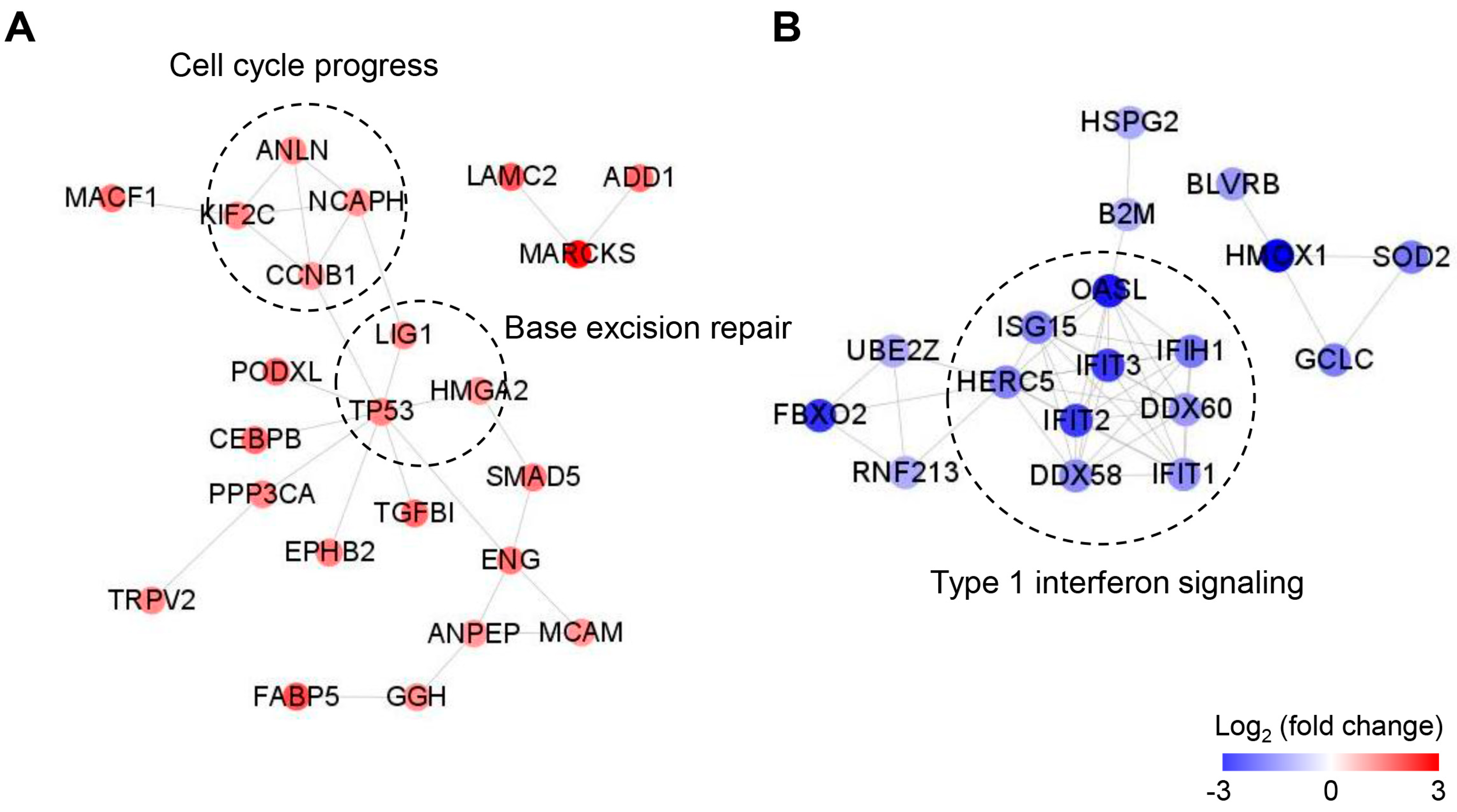 Cancers 13 00724 g004