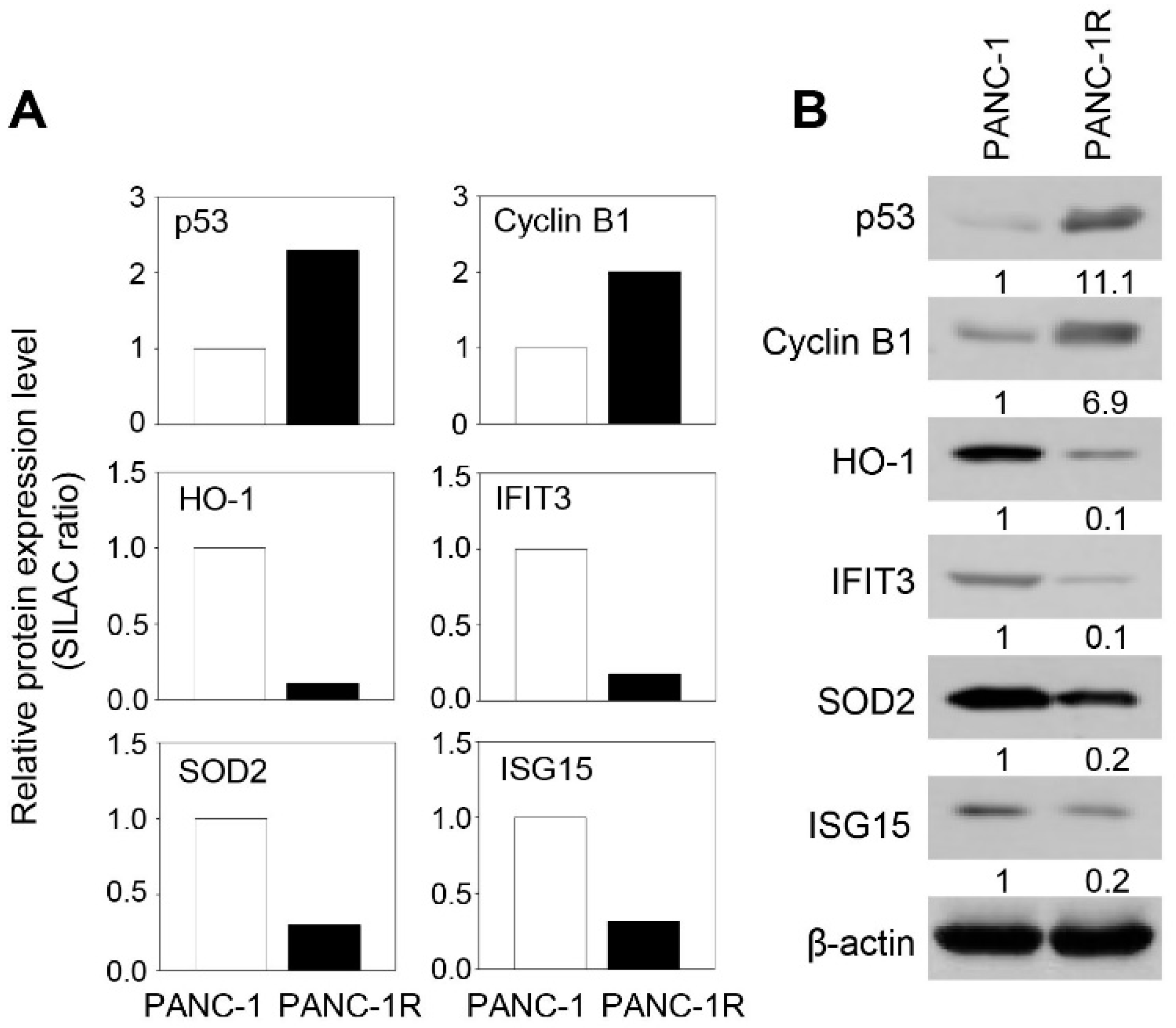 Cancers 13 00724 g005