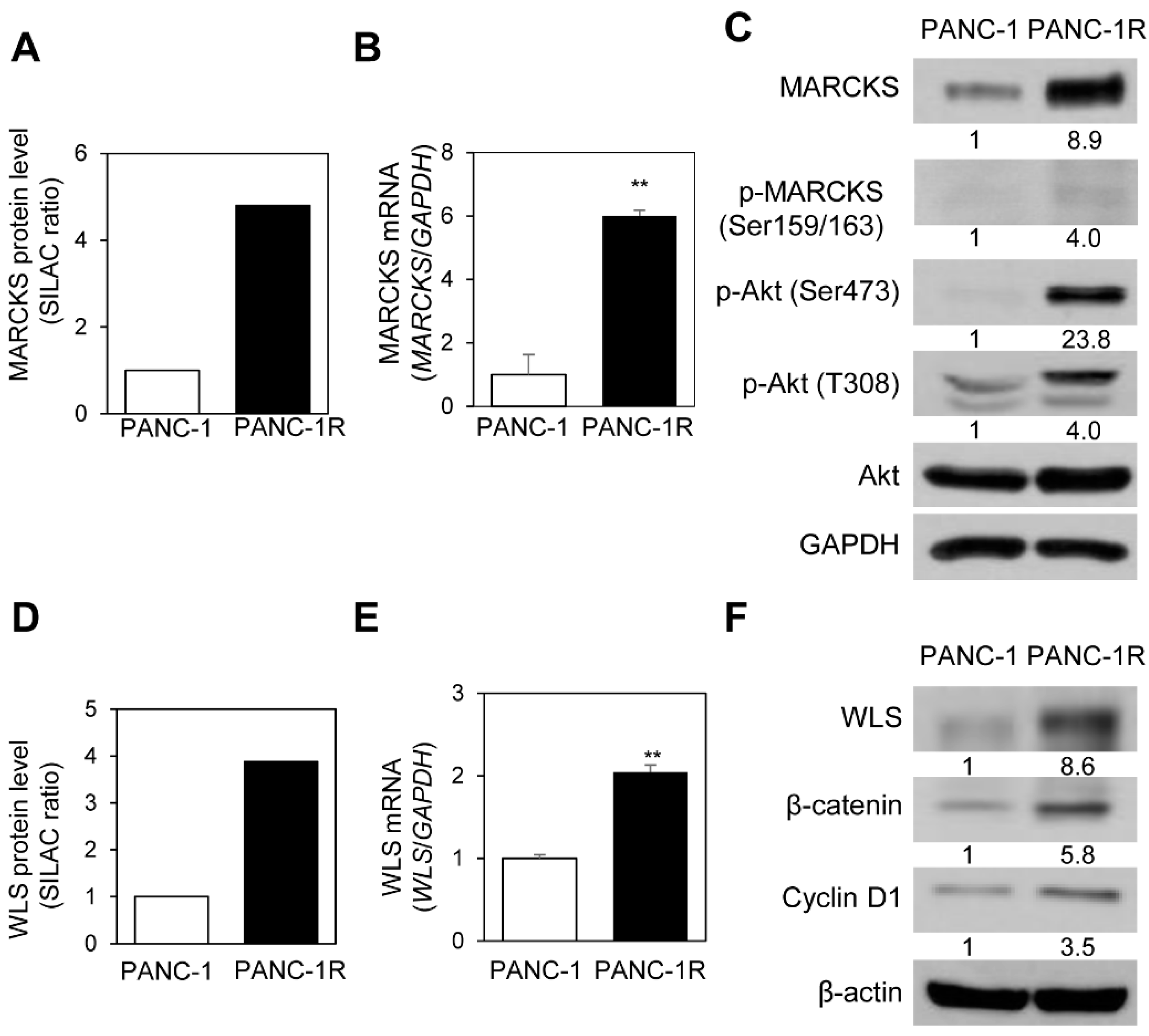 Cancers 13 00724 g006