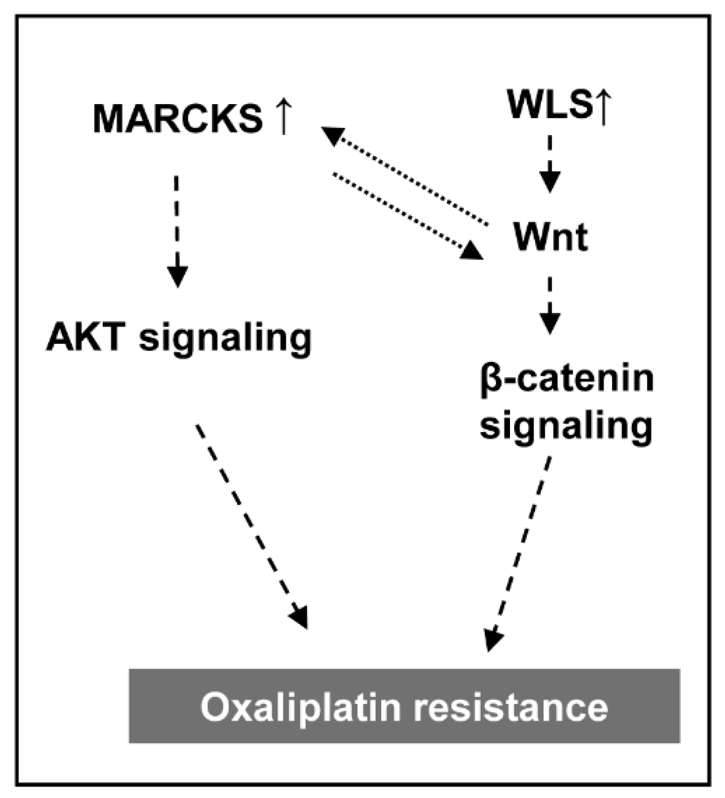 Cancers 13 00724 g008