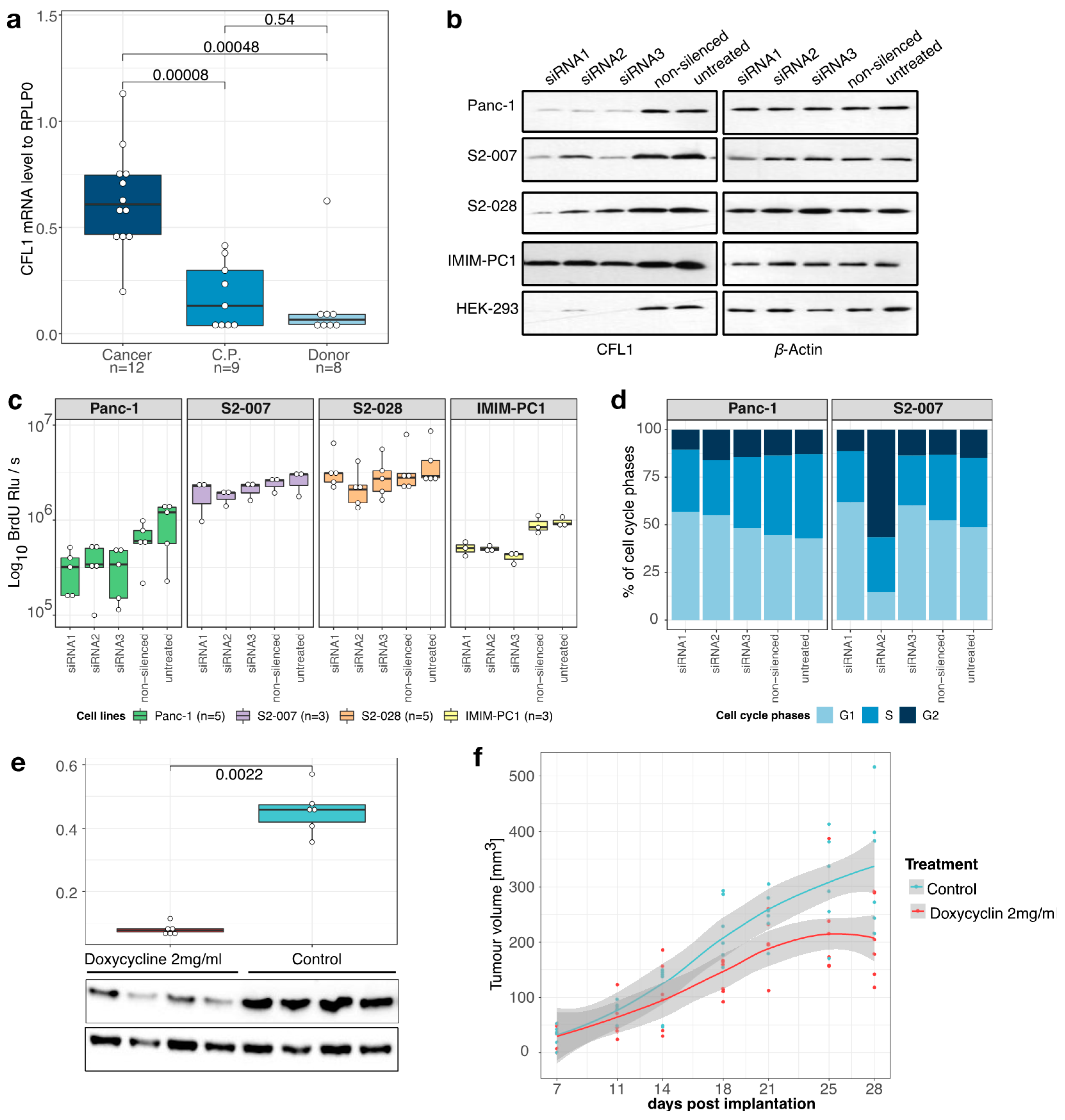 Cancers 13 00725 g001