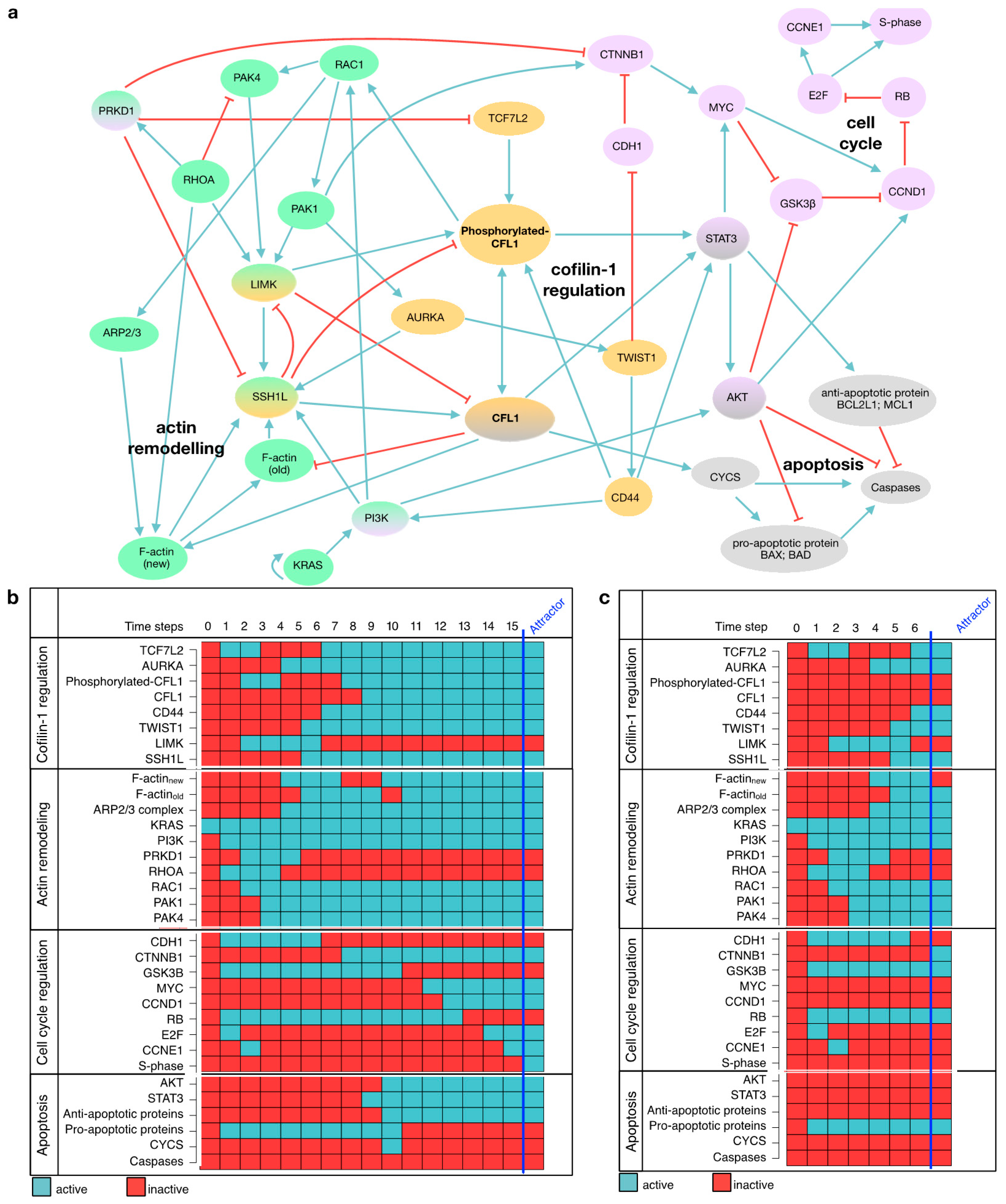Cancers 13 00725 g003