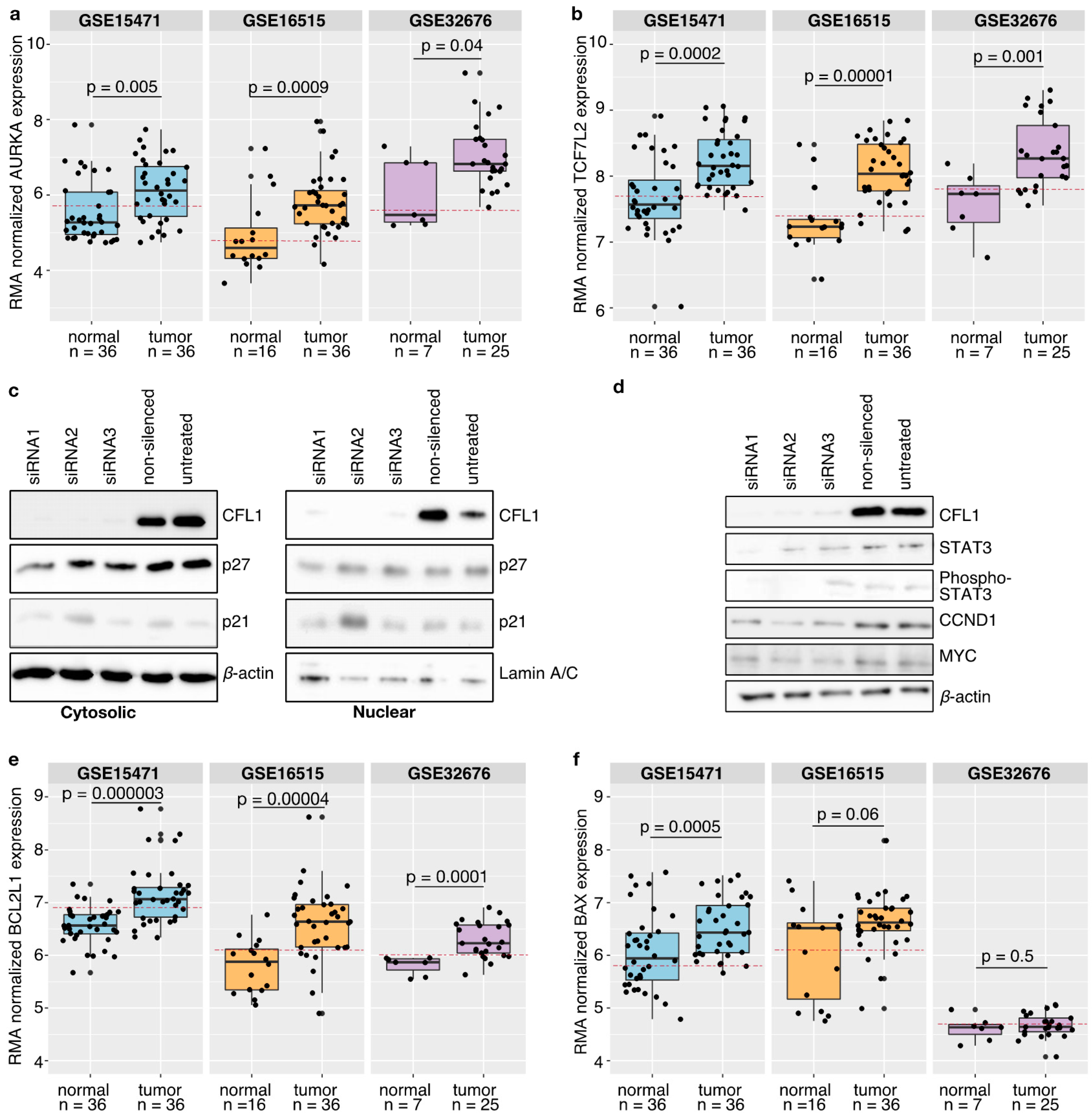 Cancers 13 00725 g004