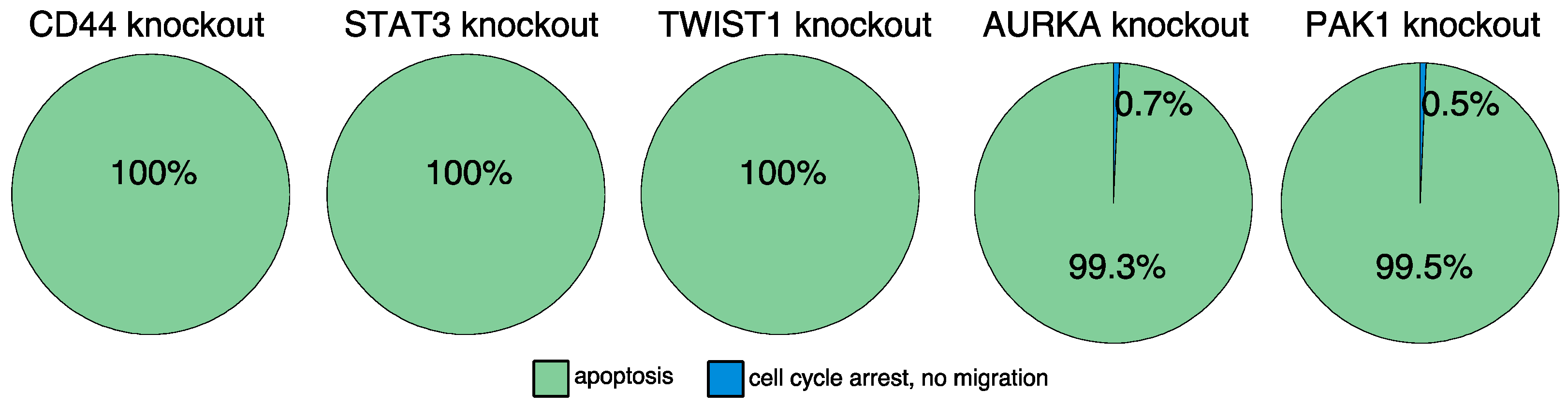Cancers 13 00725 g005