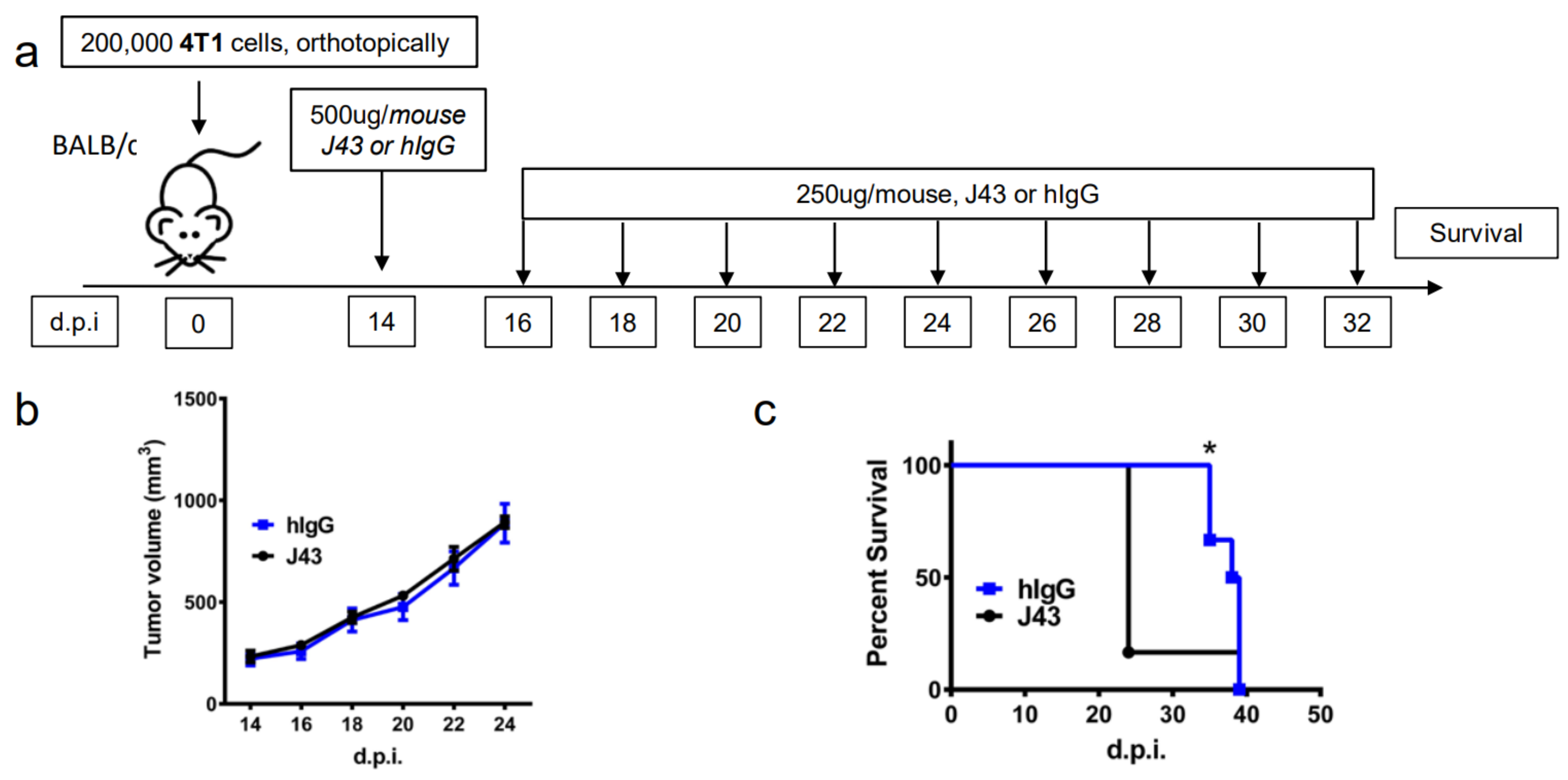 Cancers 13 00729 g001a