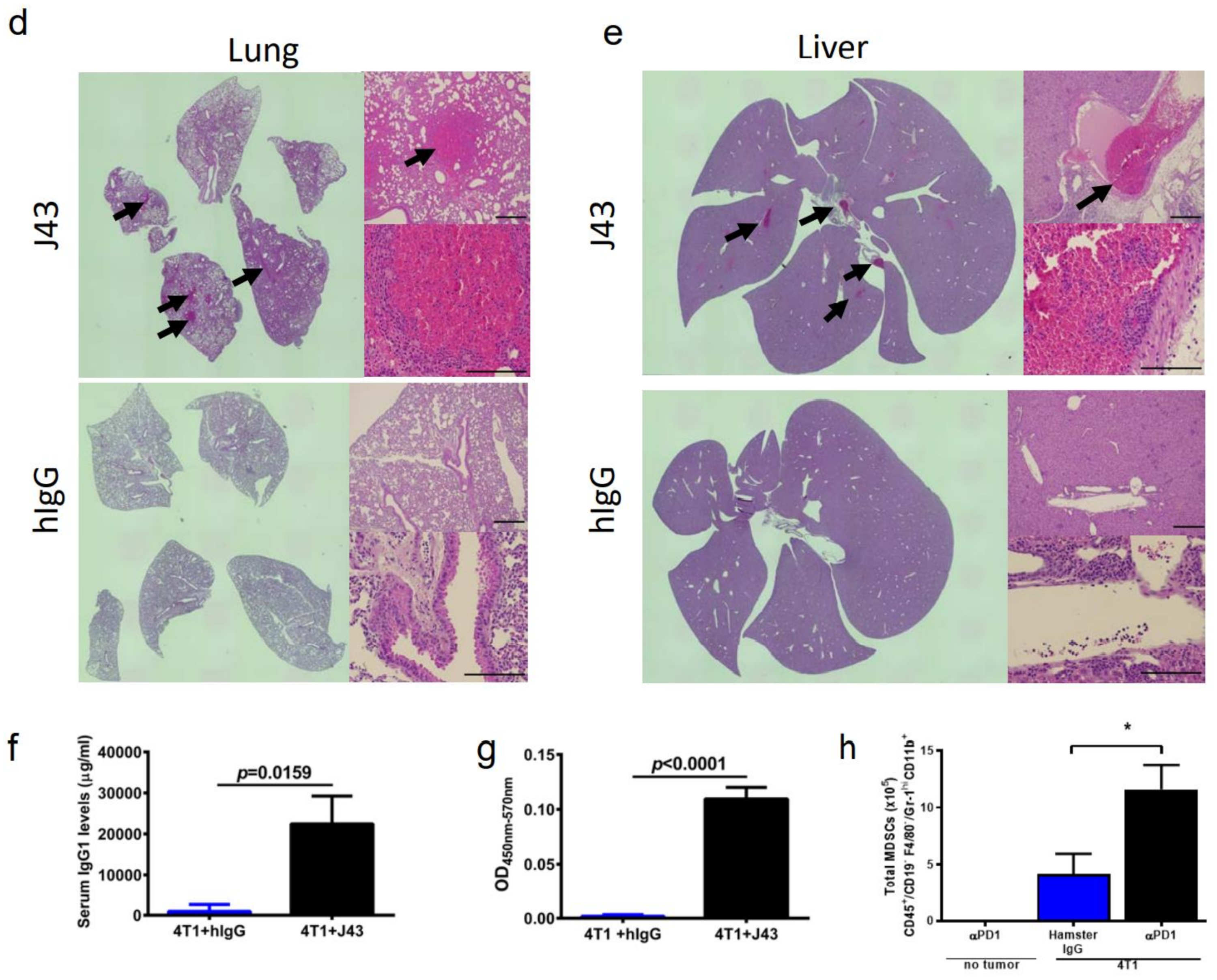 Cancers 13 00729 g001b