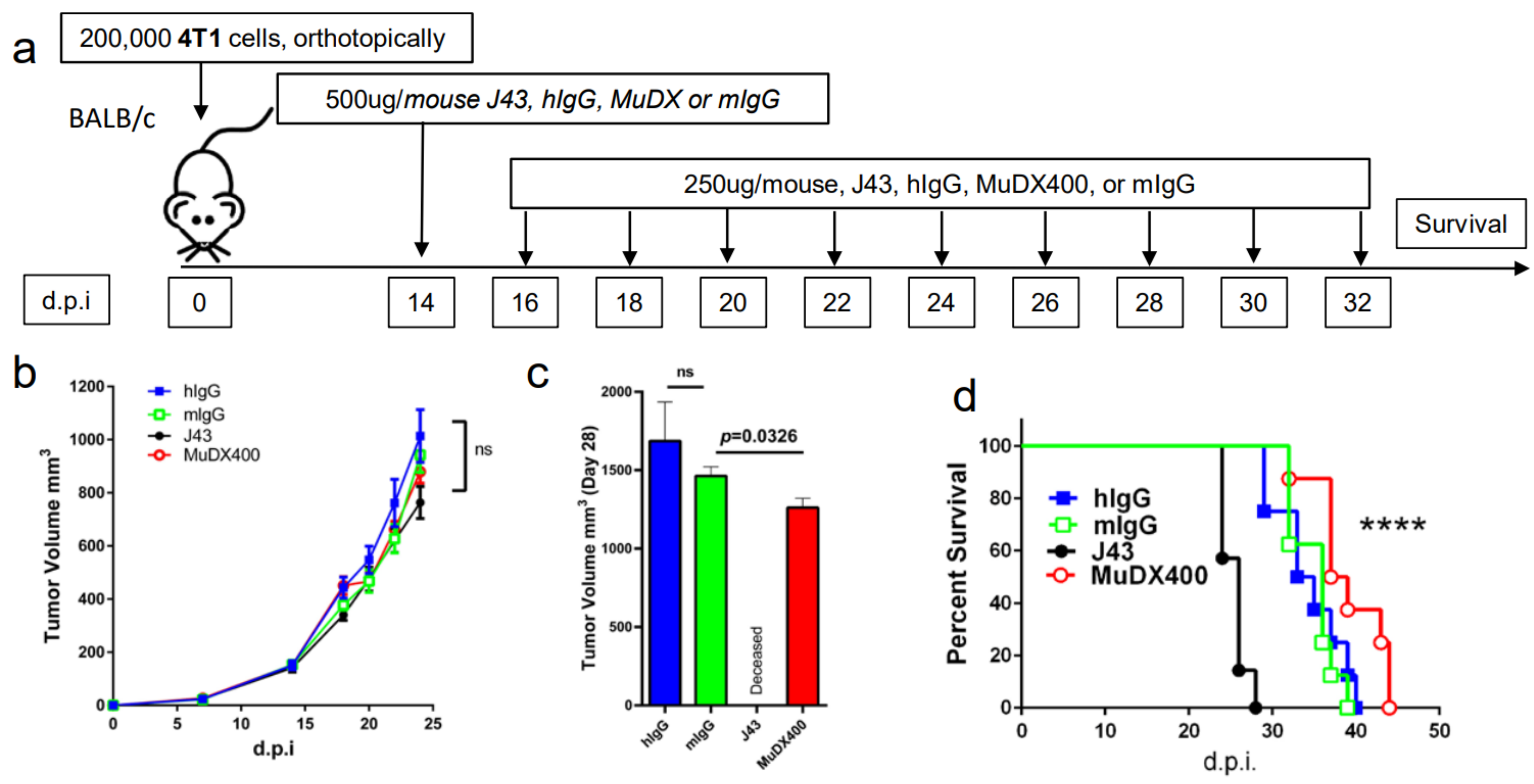 Cancers 13 00729 g002a