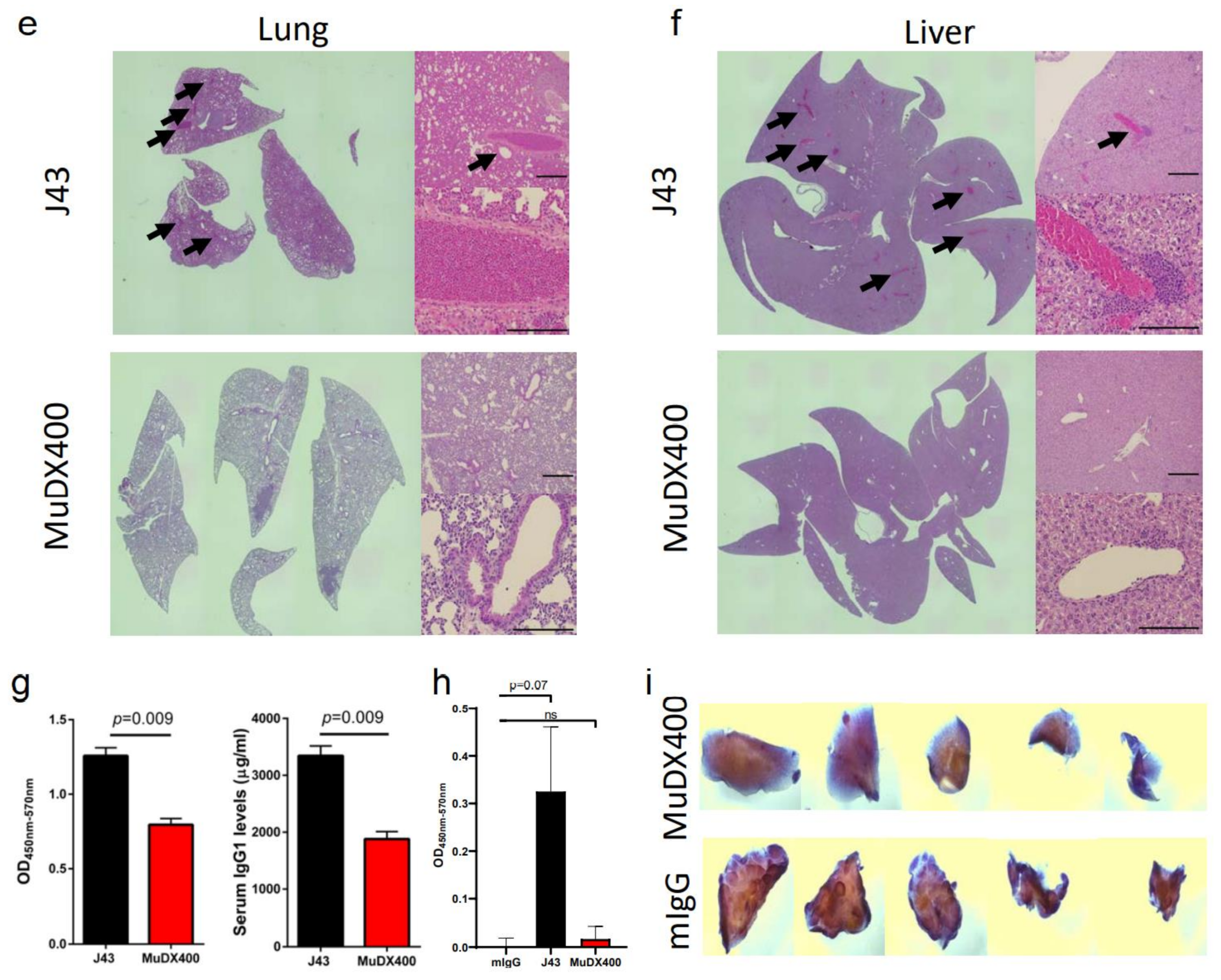 Cancers 13 00729 g002b