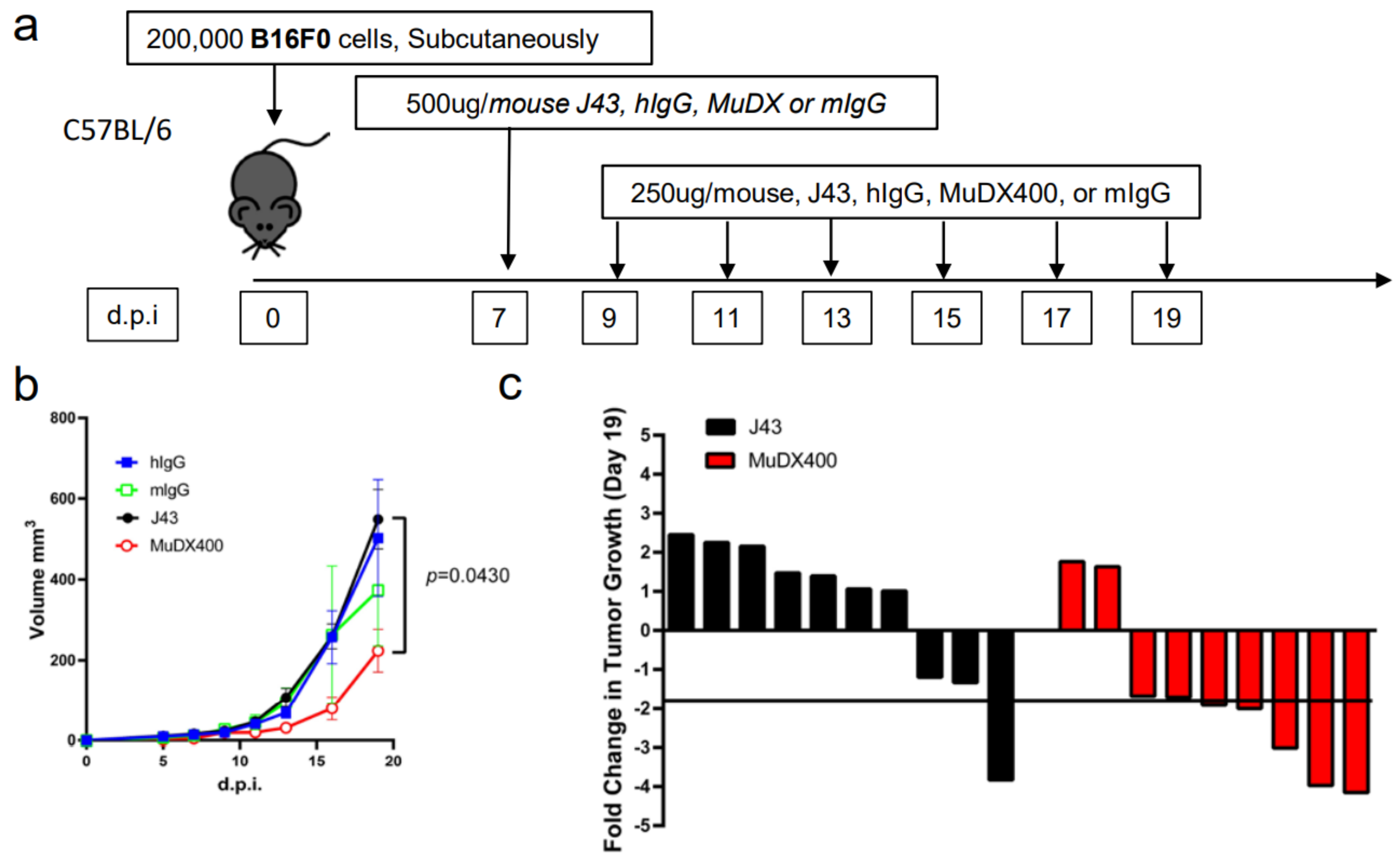 Cancers 13 00729 g003a