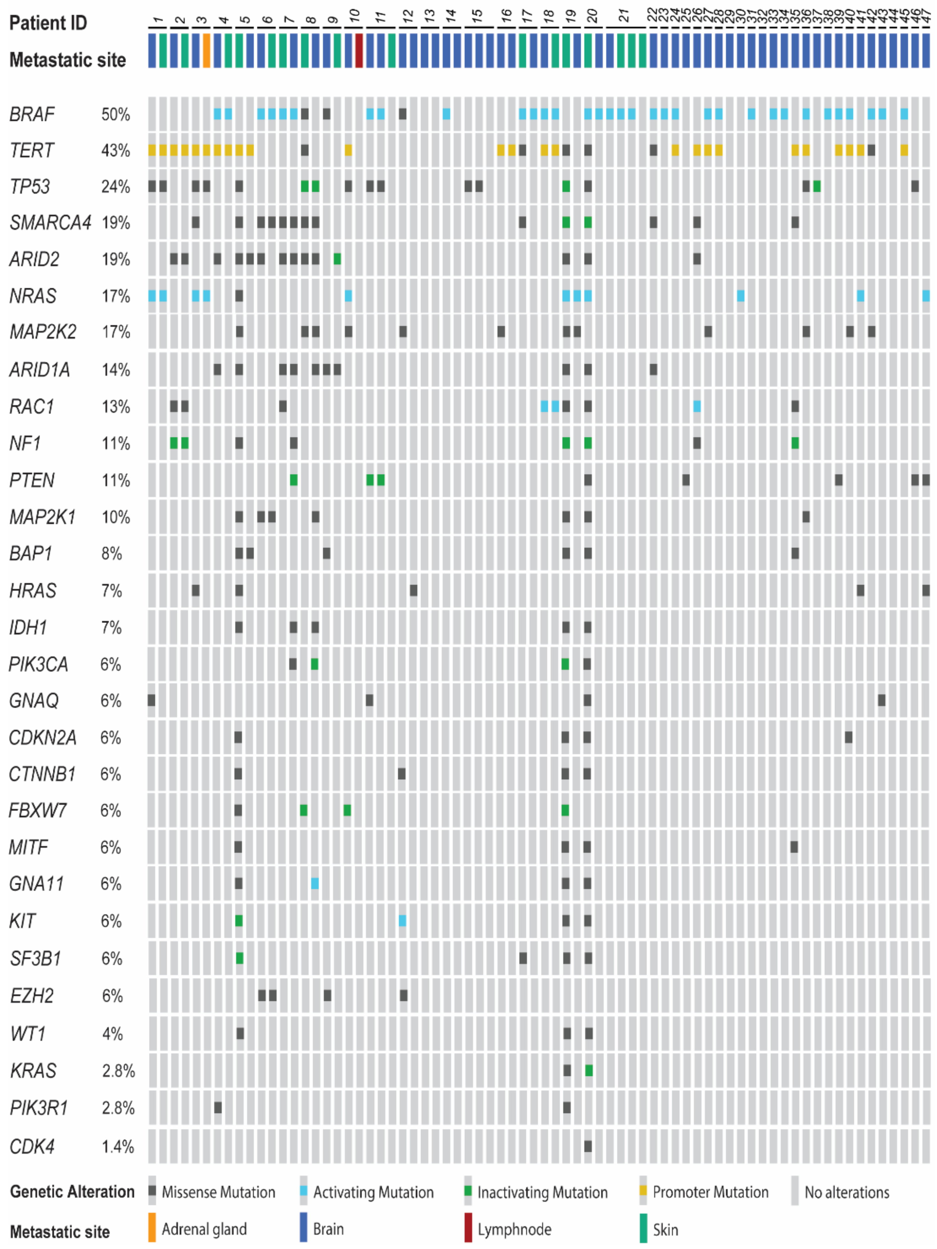 Cancers 13 00731 g001