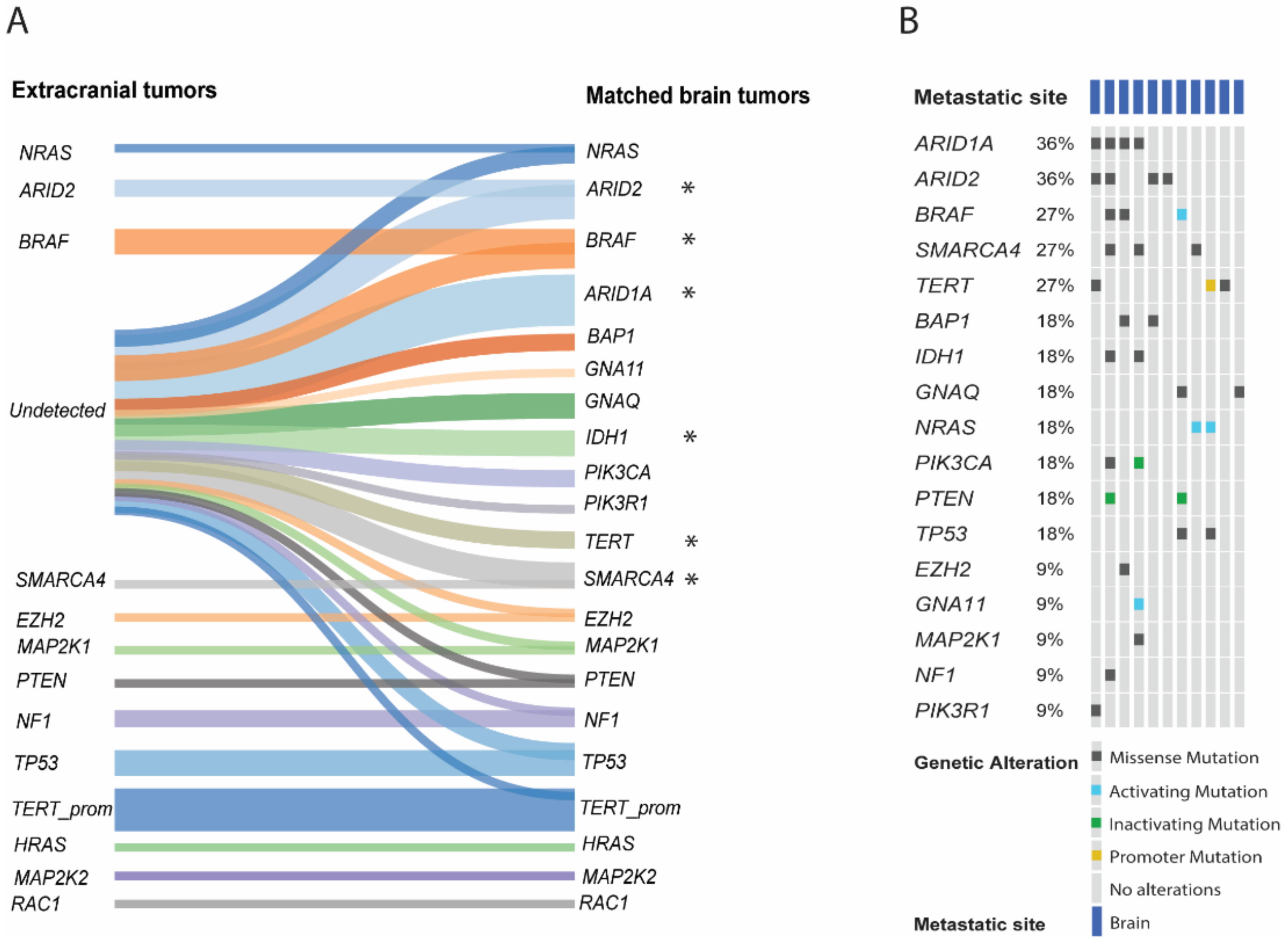 Cancers 13 00731 g002