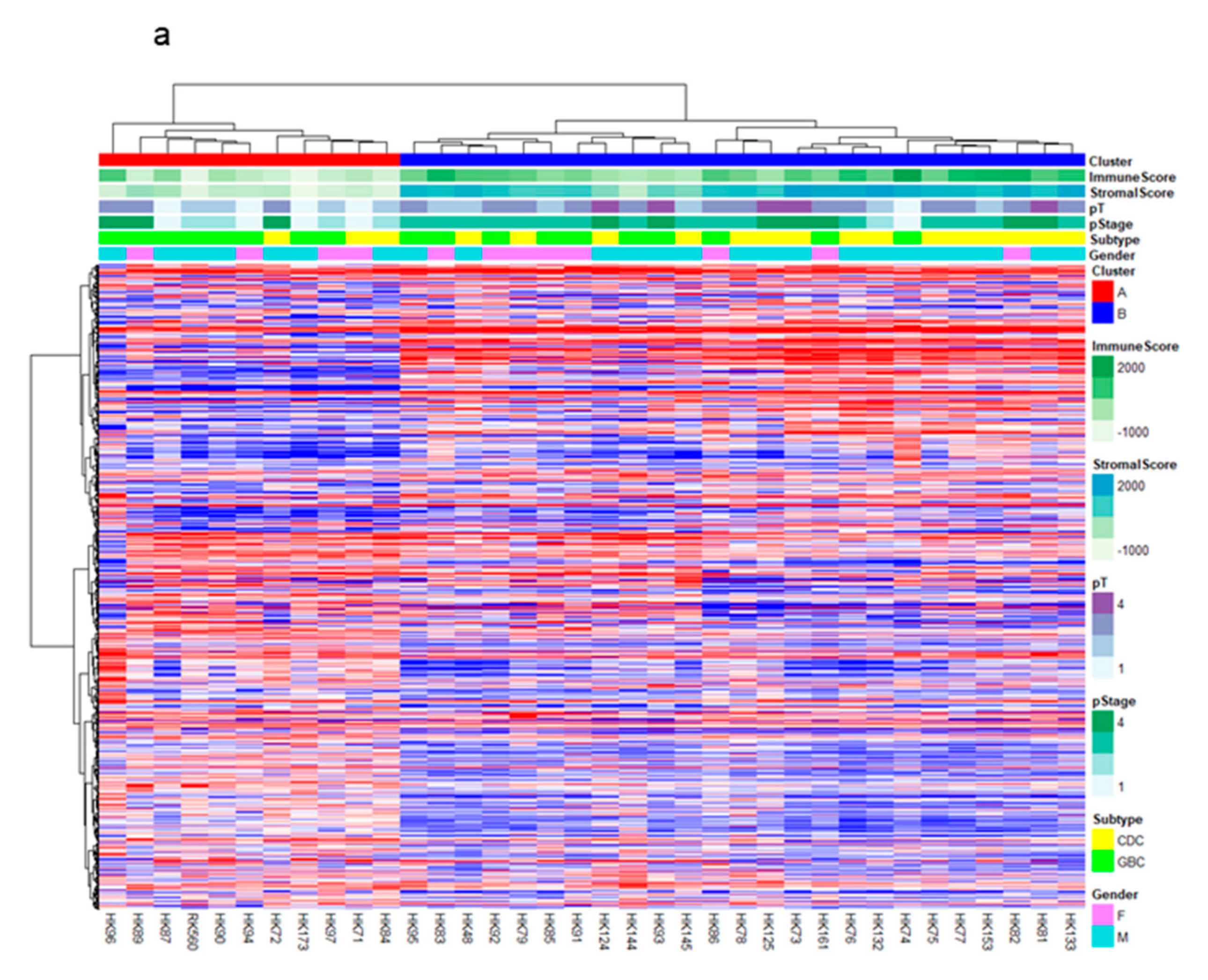 Cancers 13 00733 g001a