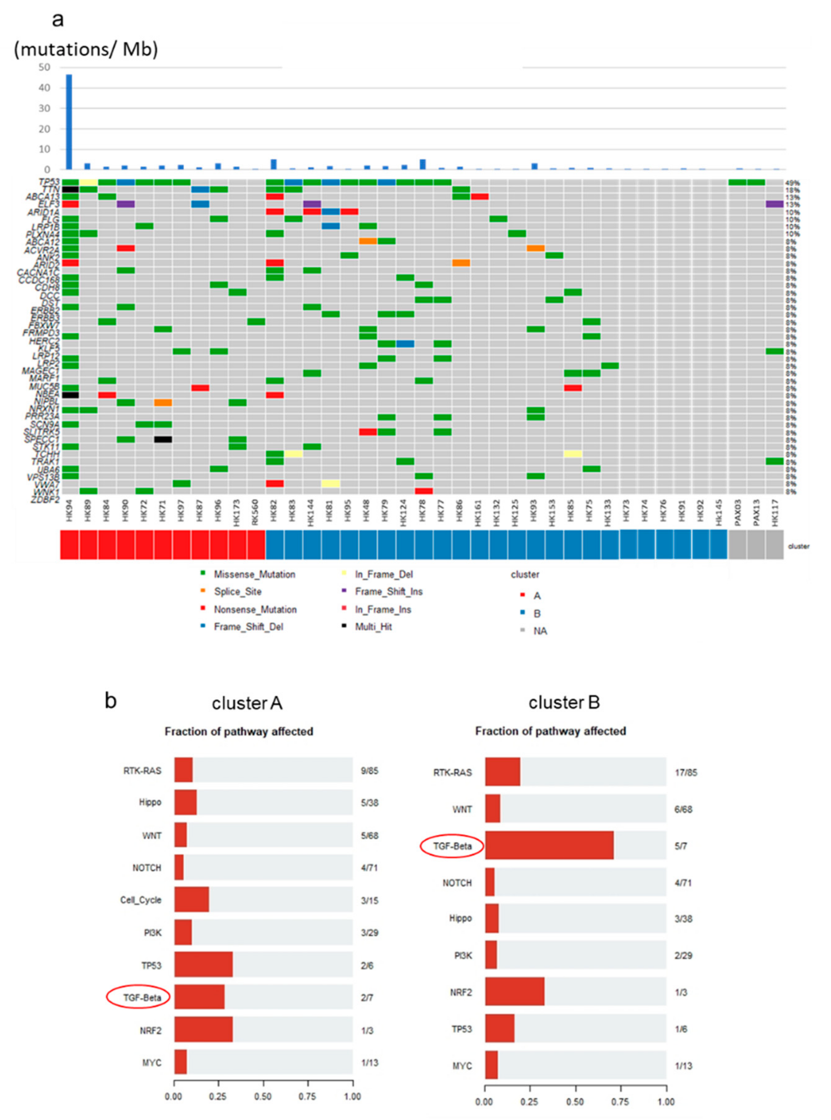Cancers 13 00733 g006