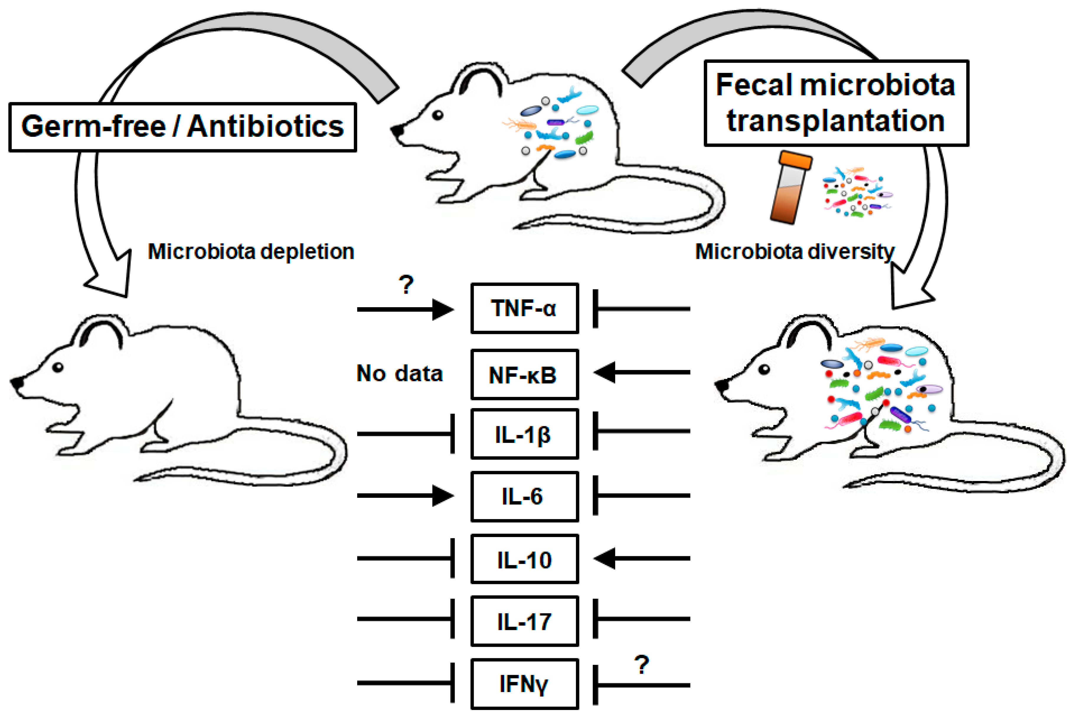 Cancers 13 00734 g002