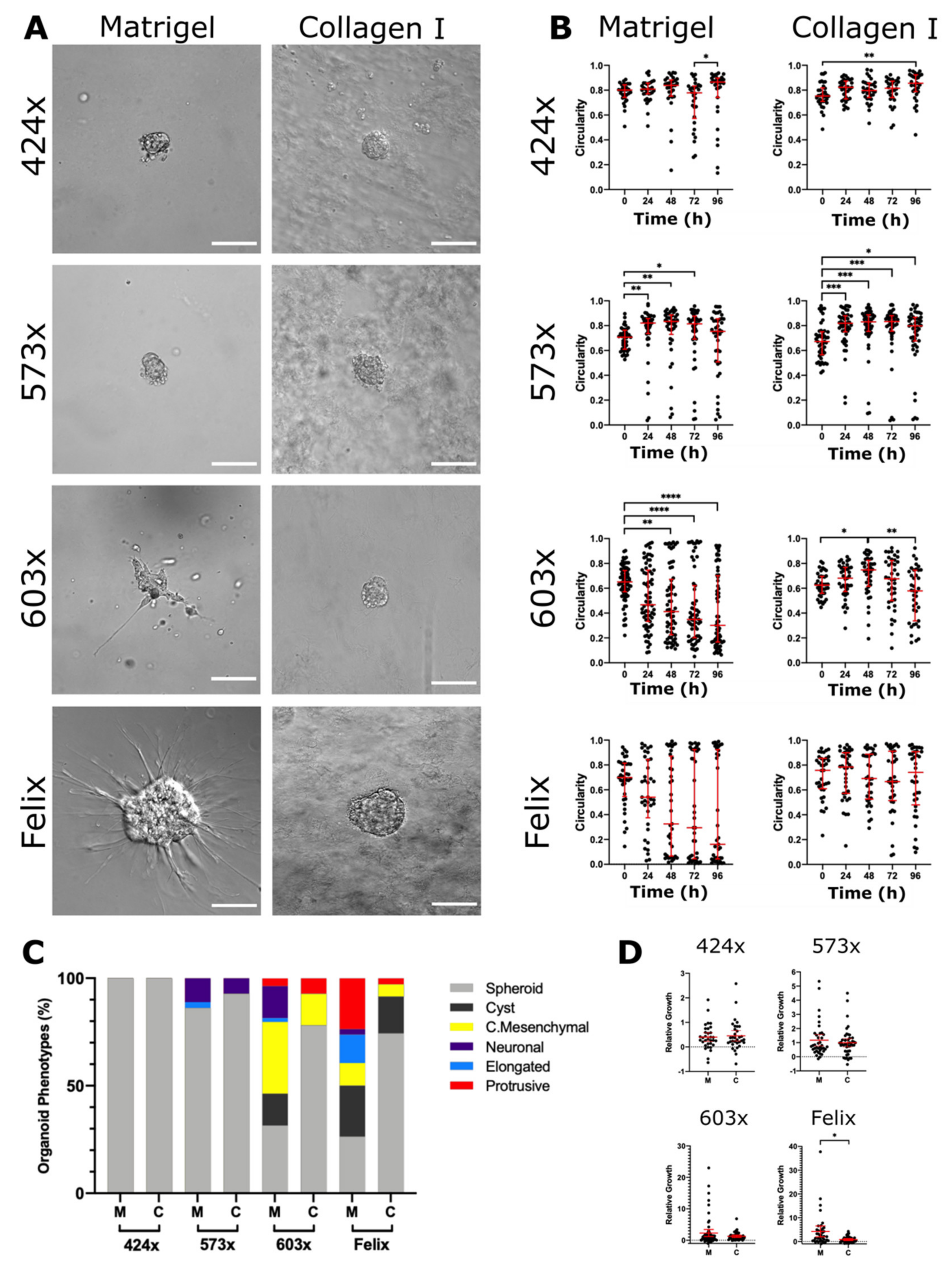 Cancers 13 00736 g002
