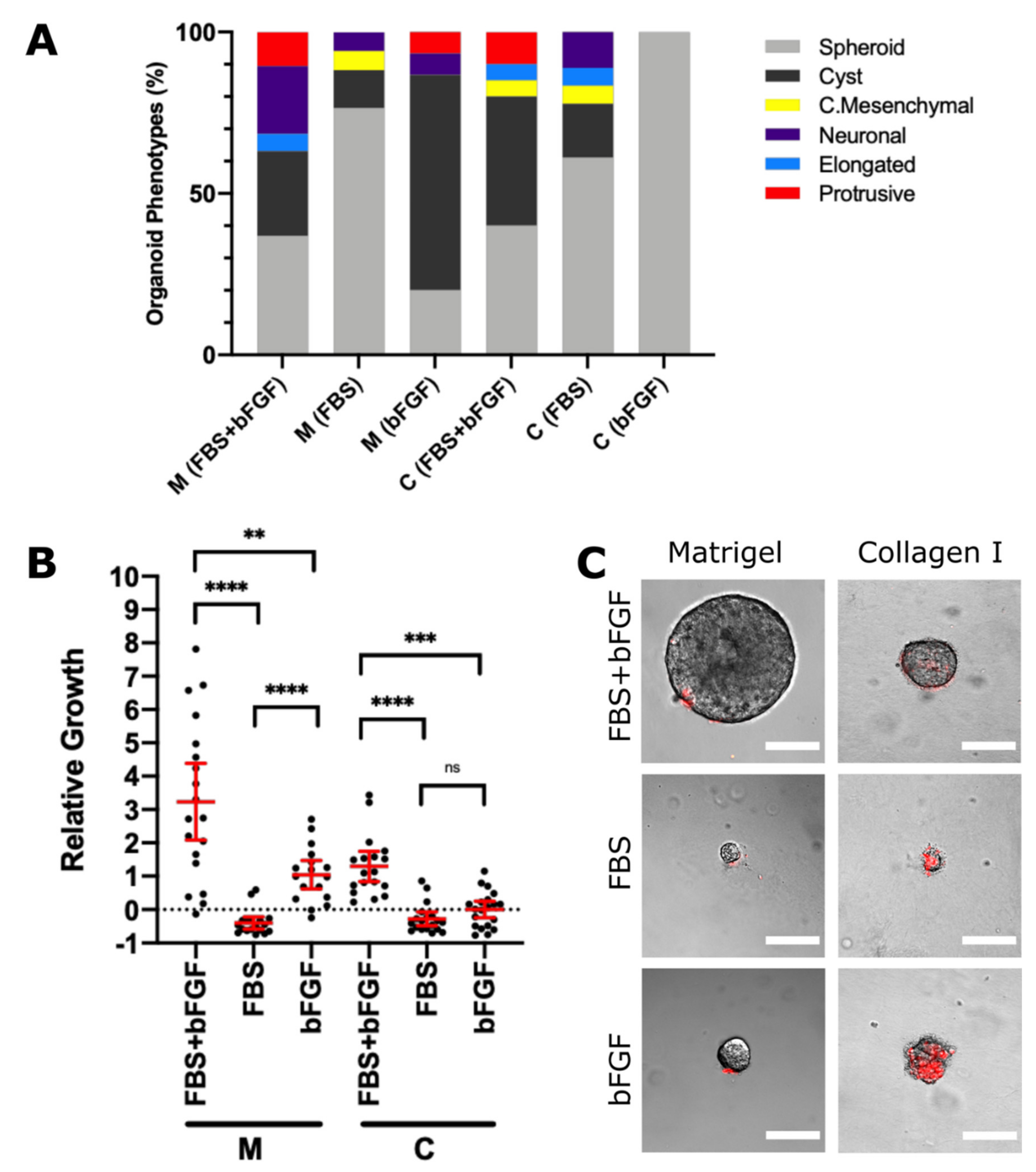 Cancers 13 00736 g003