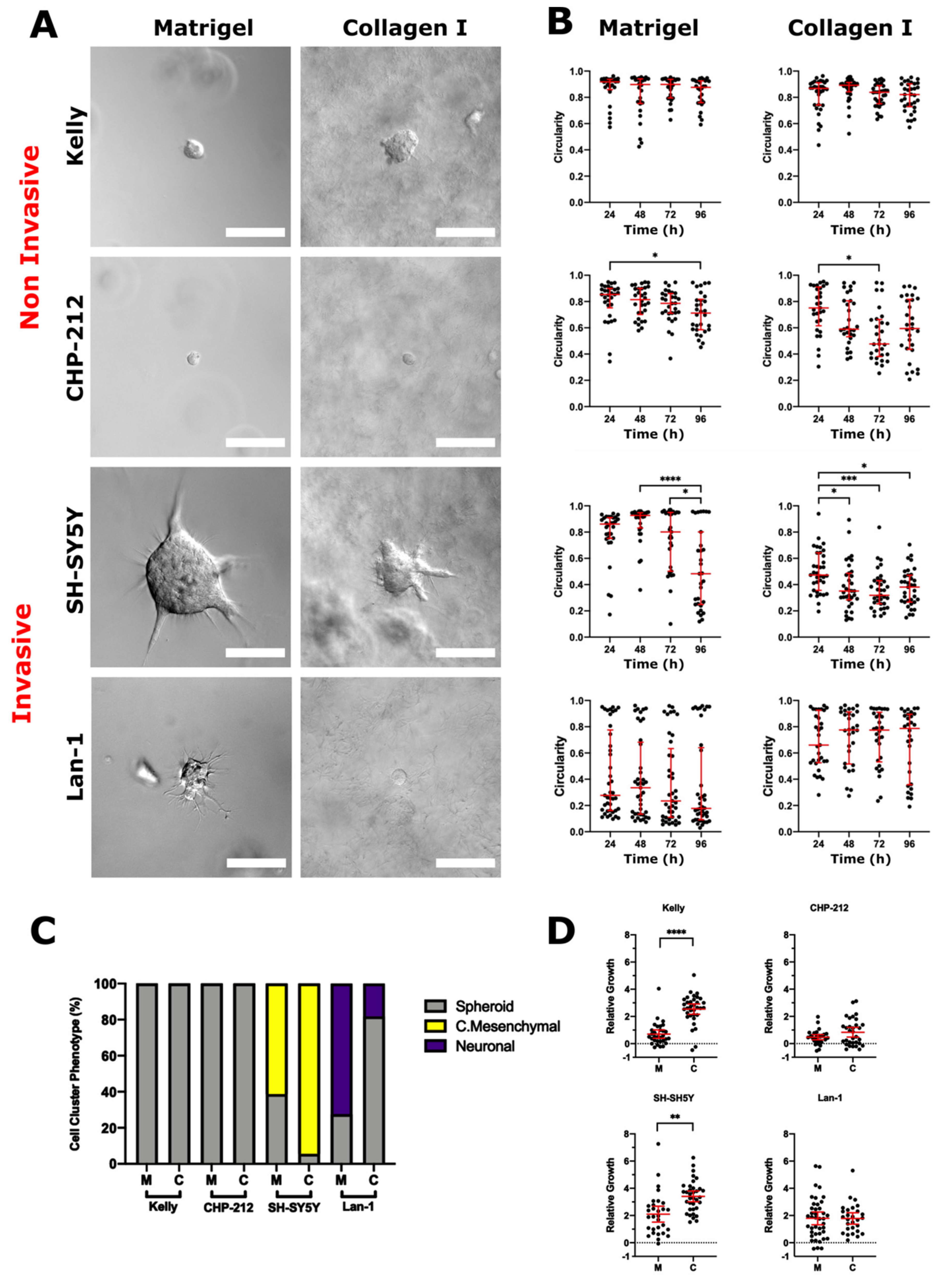 Cancers 13 00736 g004
