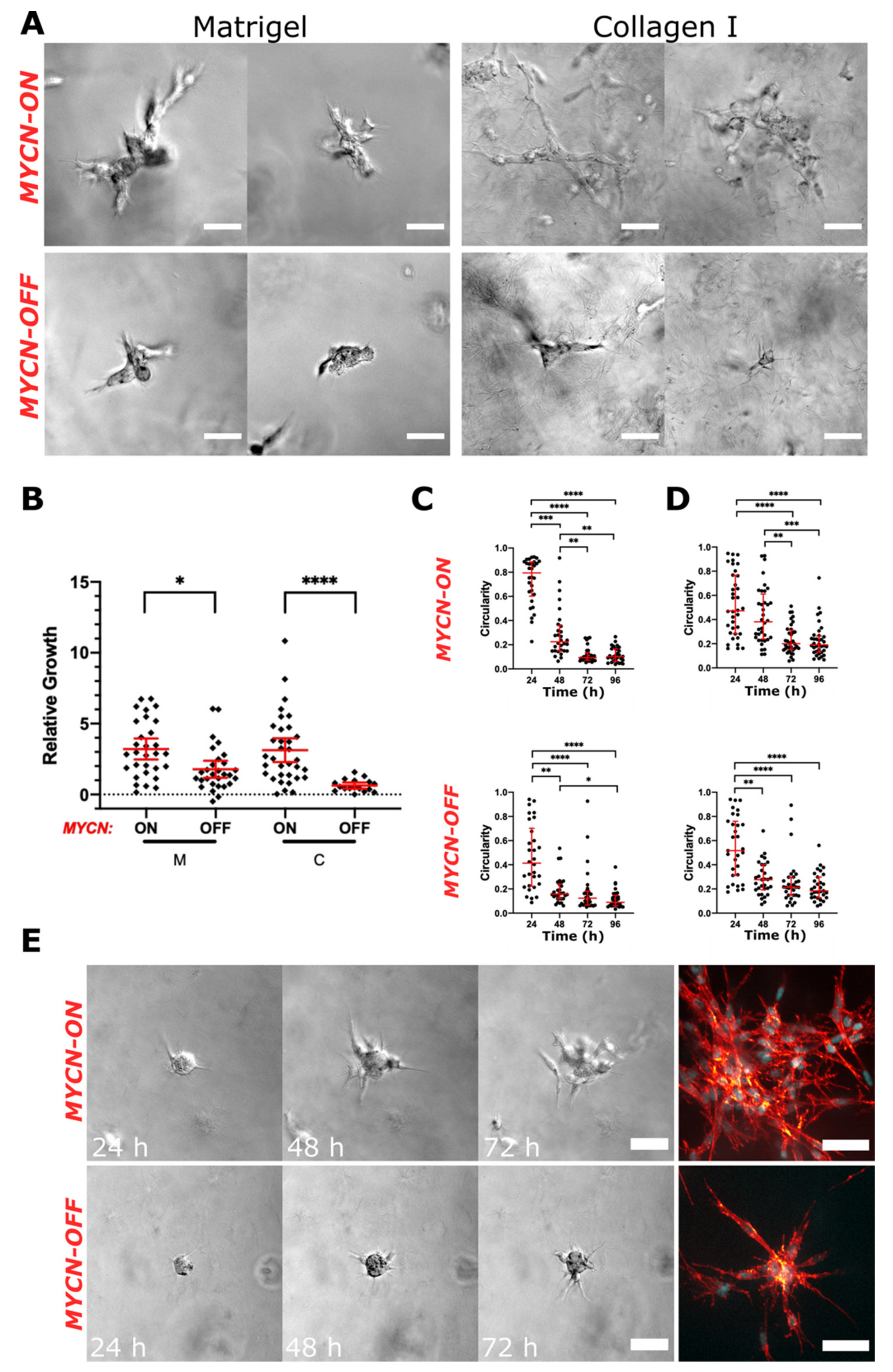 Cancers 13 00736 g005