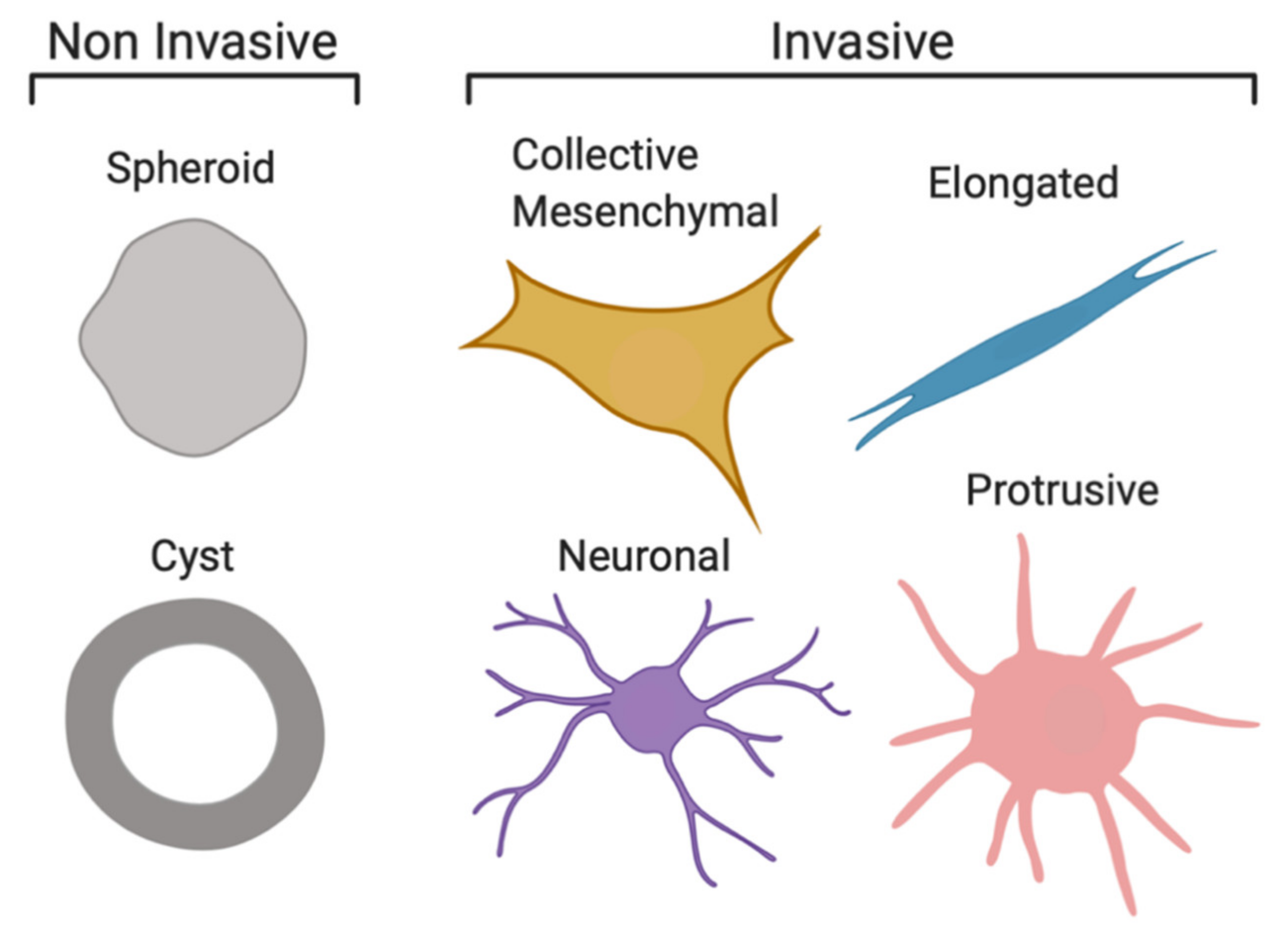 Cancers 13 00736 g007