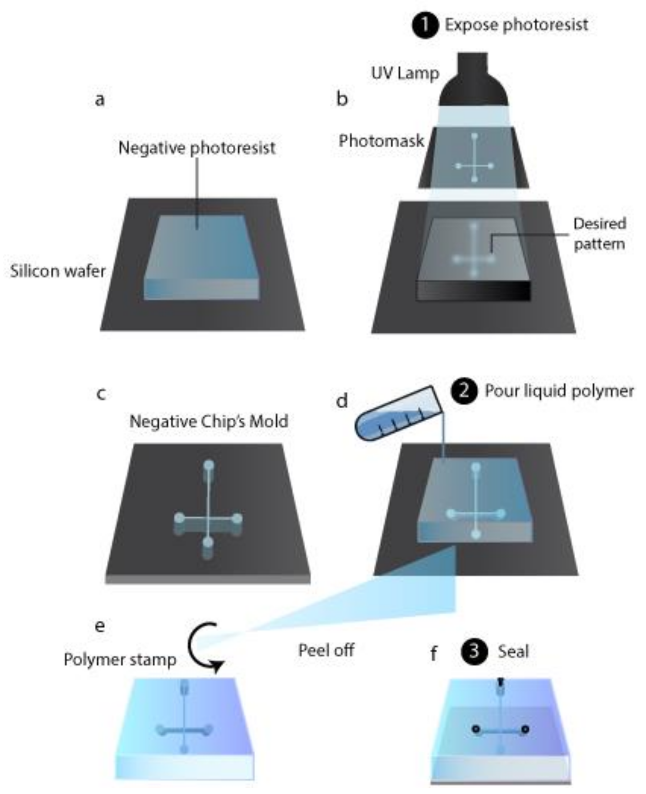 Cancers 13 00737 g003