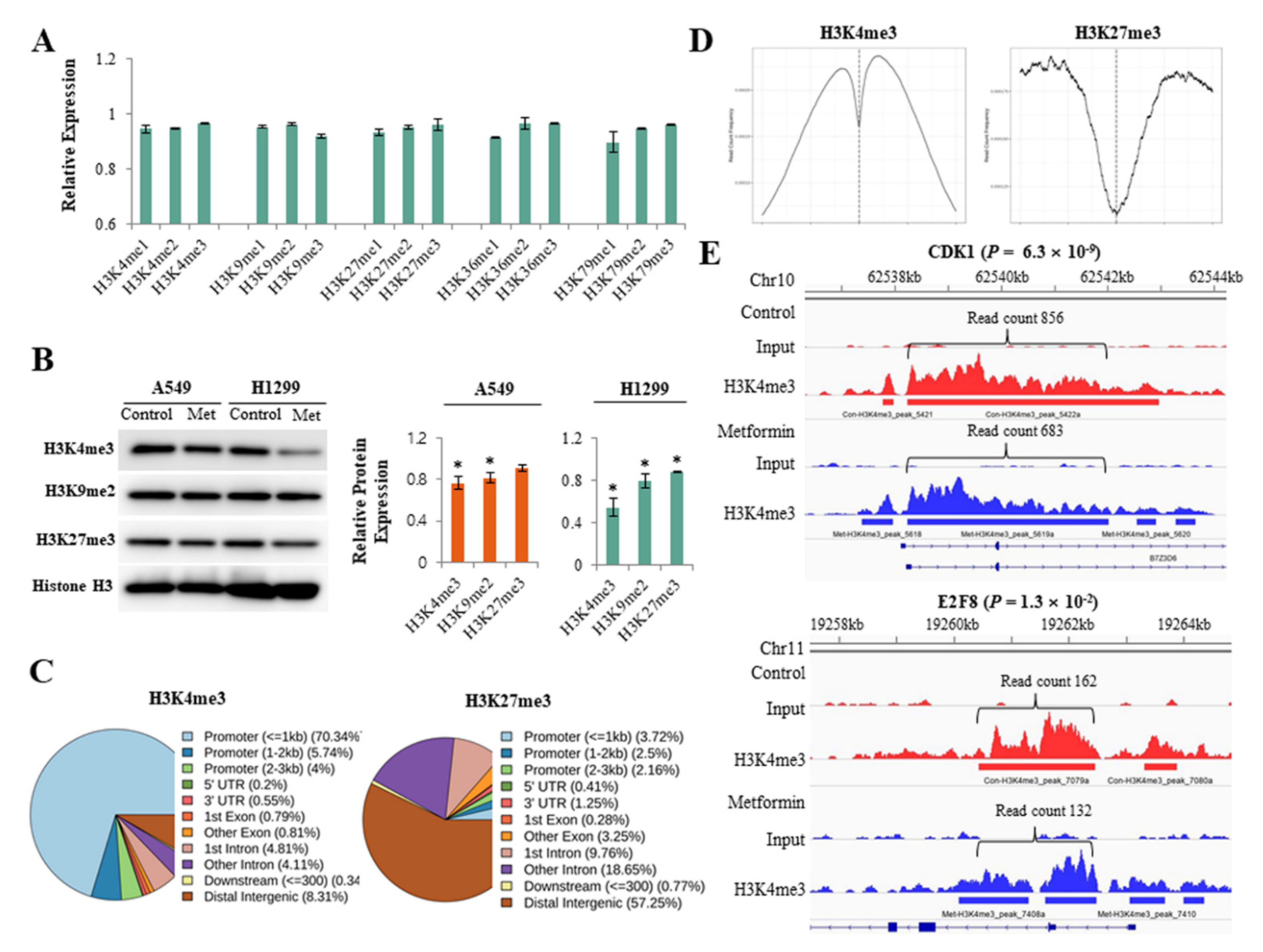 Cancers 13 00739 g001