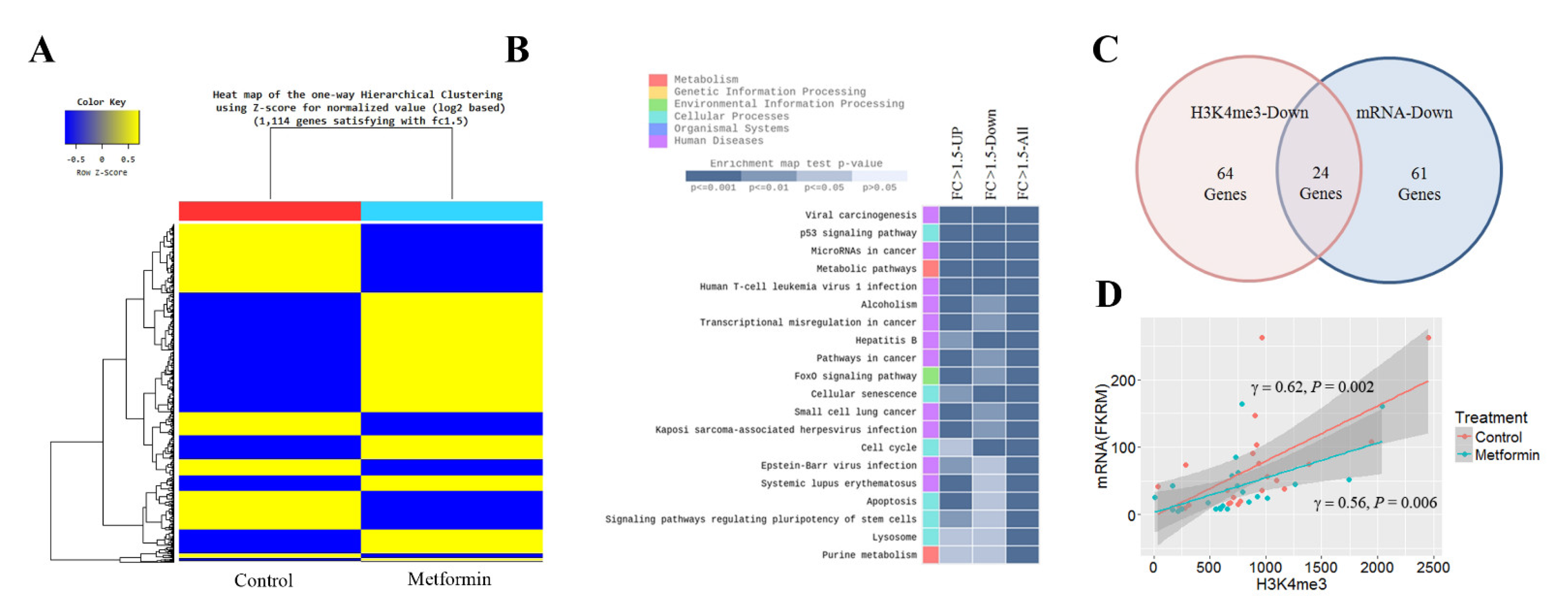 Cancers 13 00739 g002