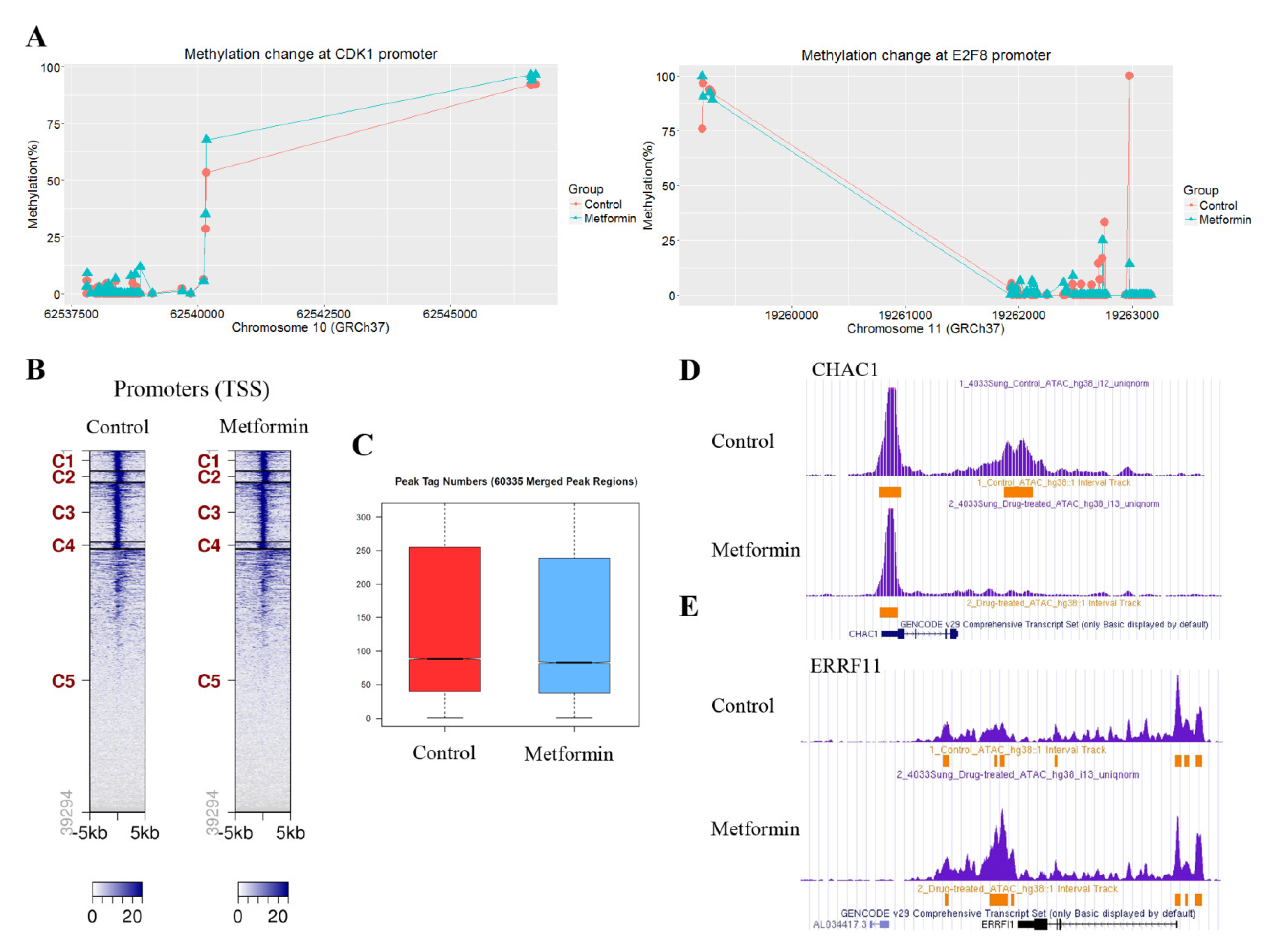 Cancers 13 00739 g005