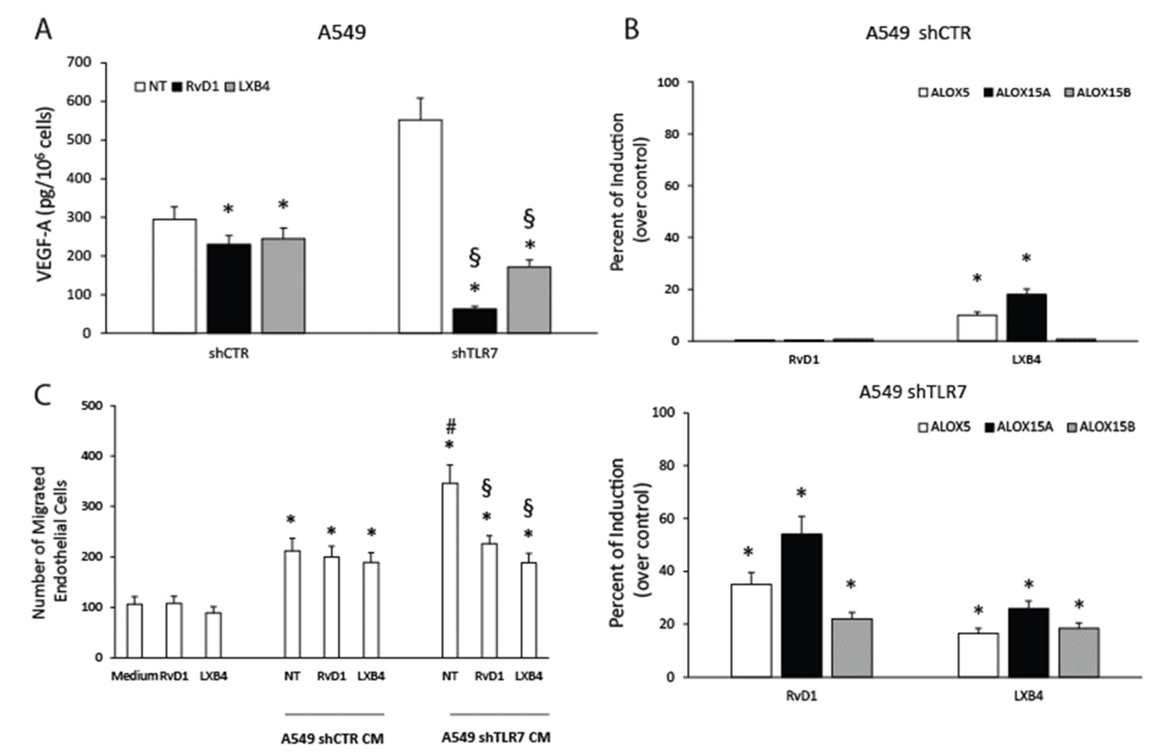 Cancers 13 00740 g005