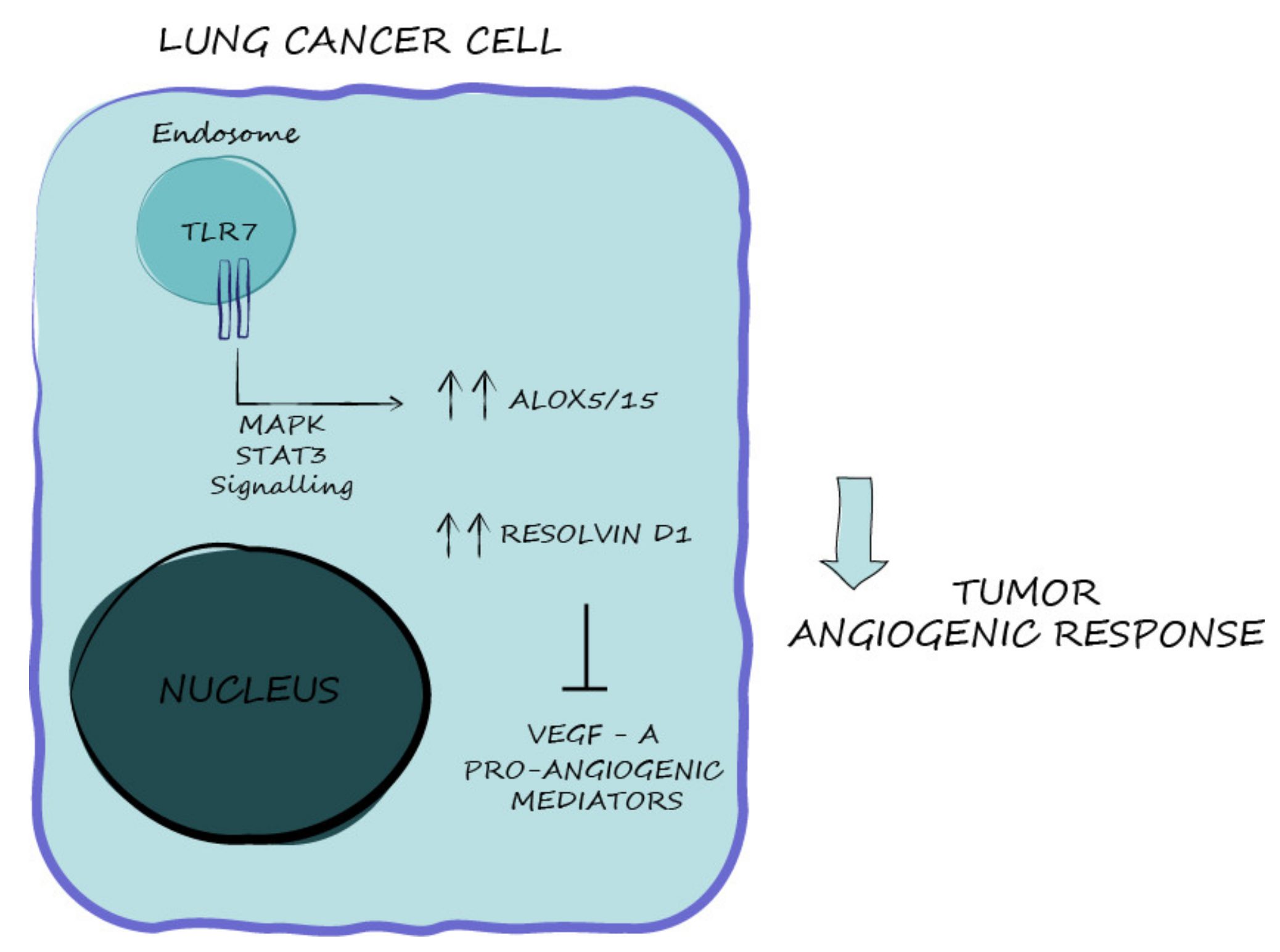 Cancers 13 00740 g007