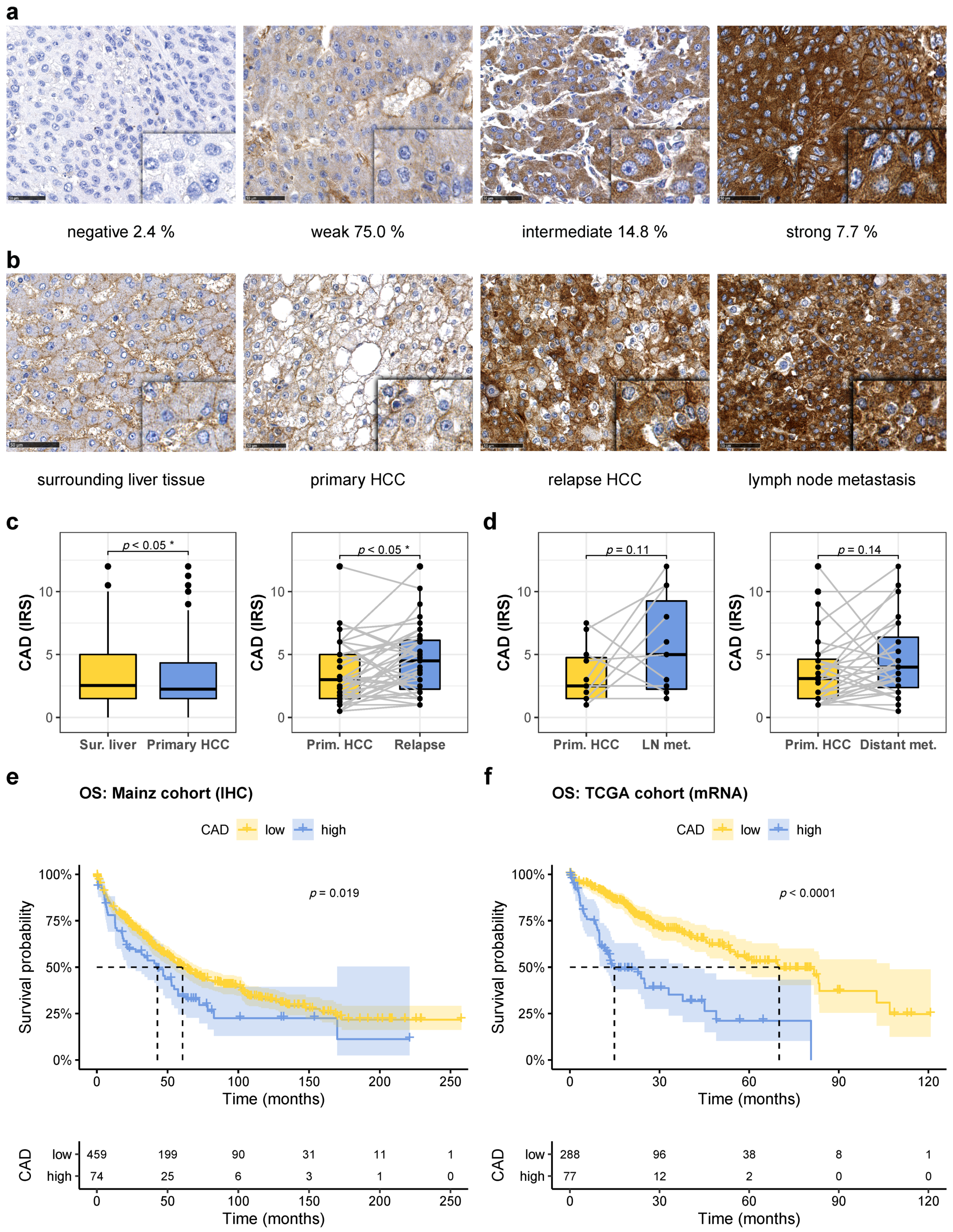 Cancers 13 00744 g001 Cancers 13 00744 g001