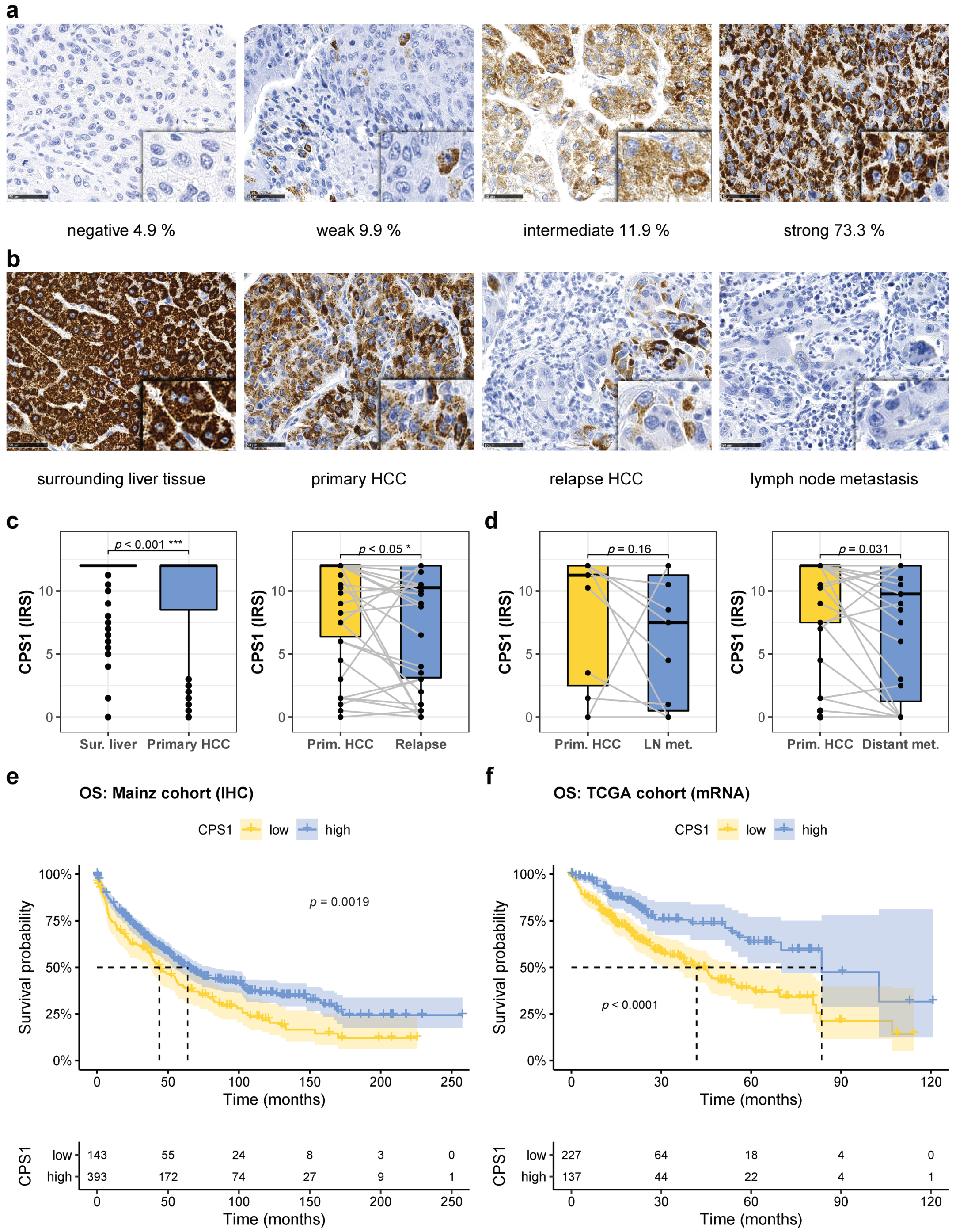 Cancers 13 00744 g003 Cancers 13 00744 g003