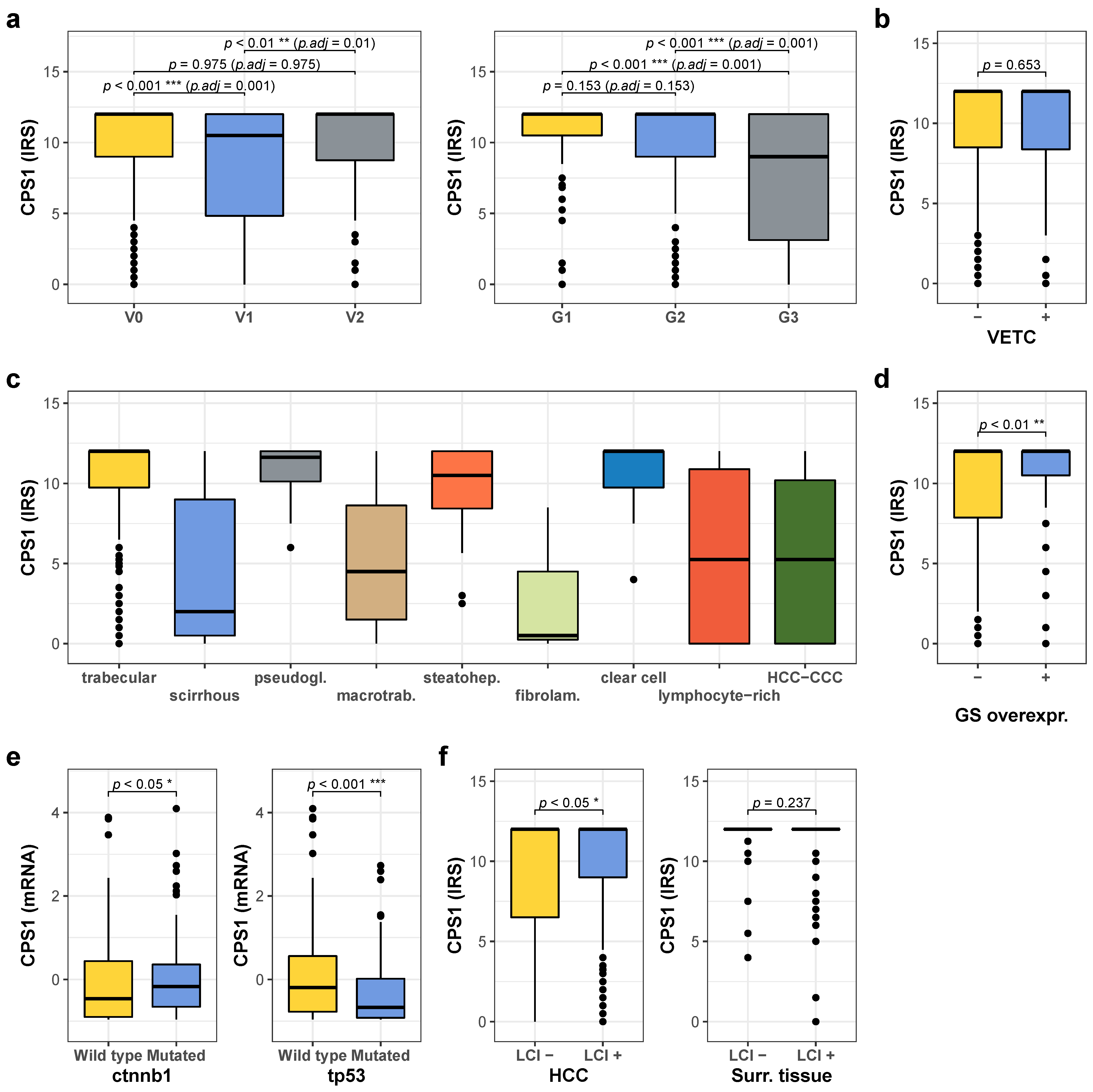 Cancers 13 00744 g004 Cancers 13 00744 g004