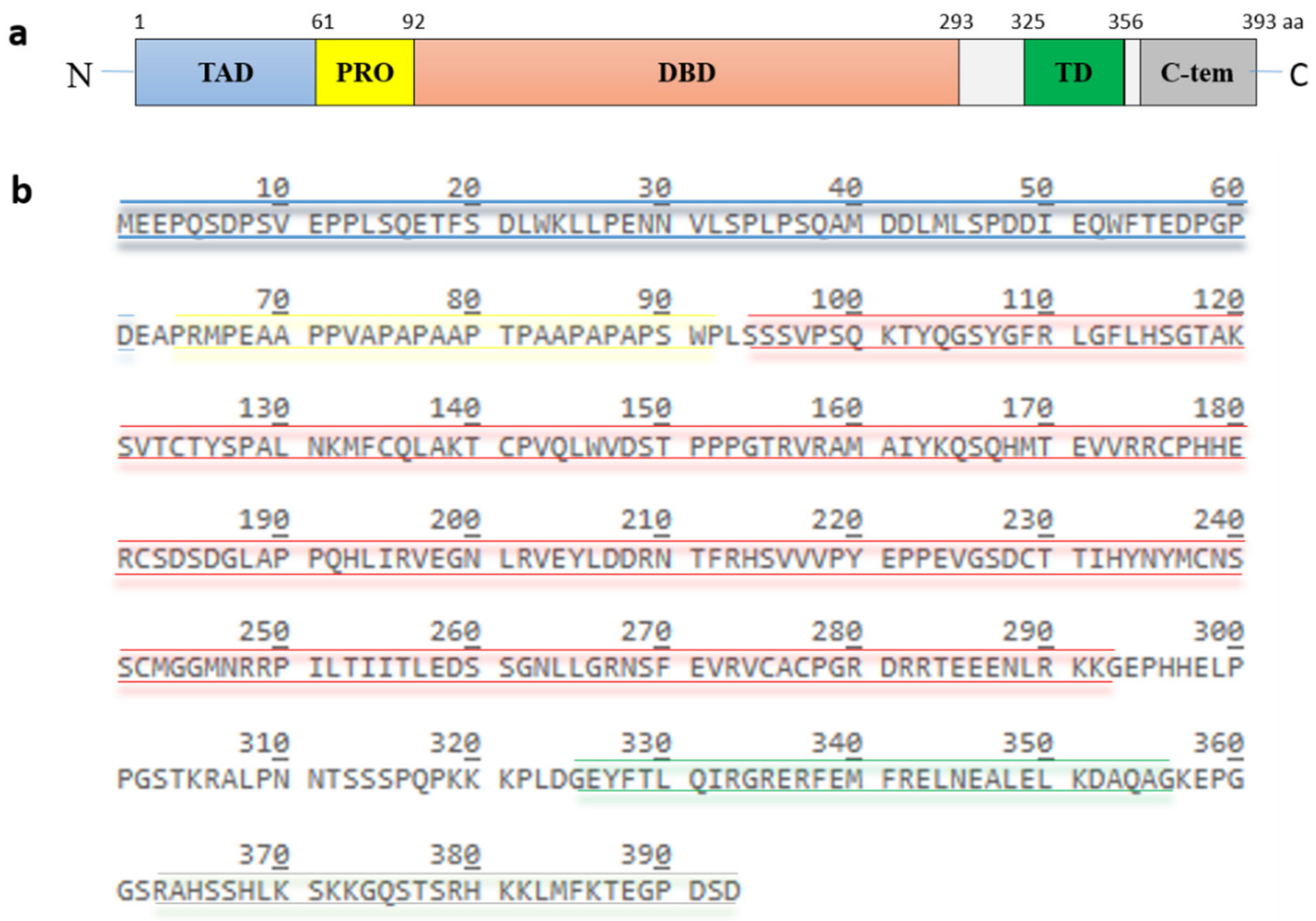 Cancers 13 00745 g002
