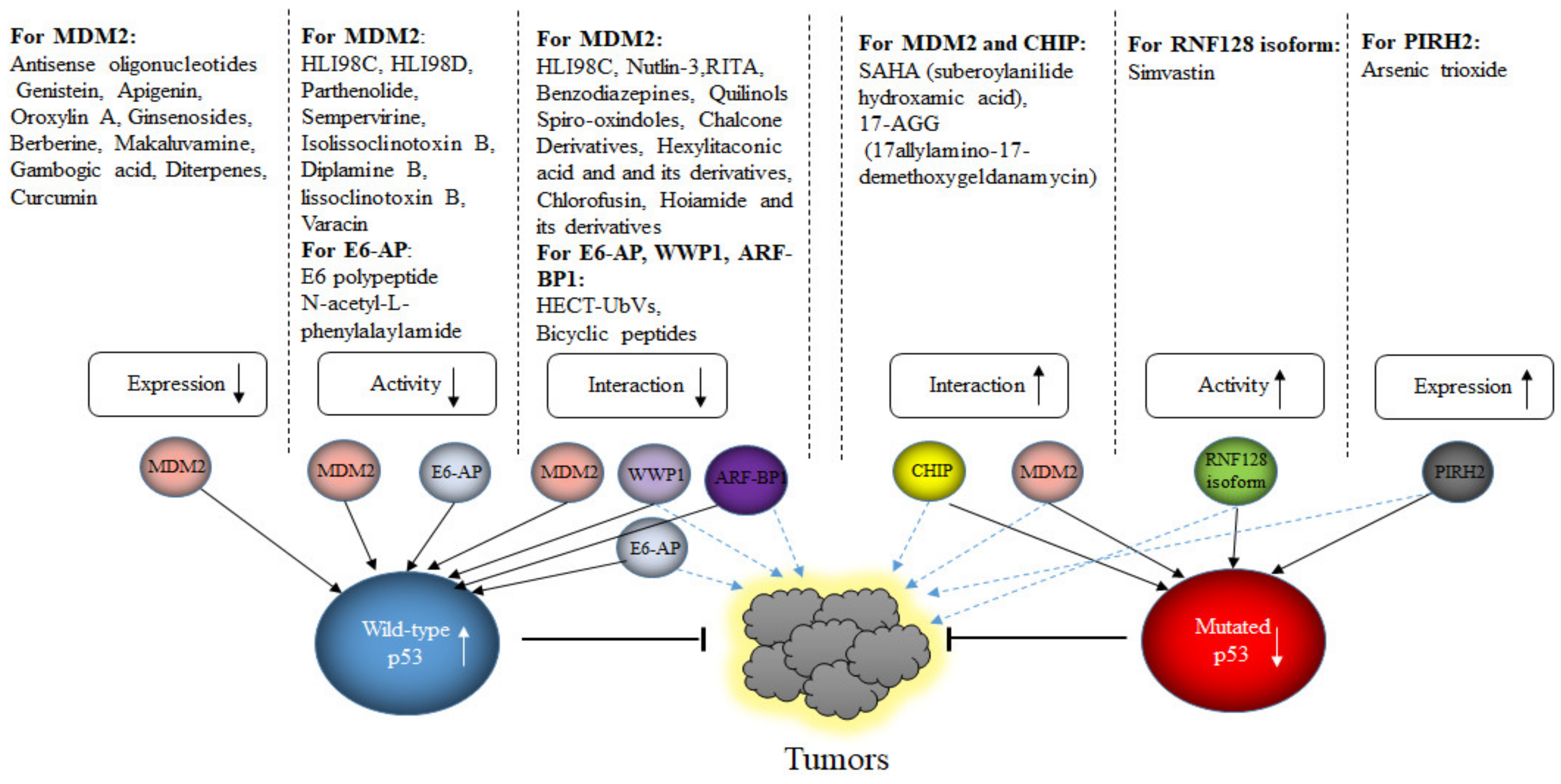 Cancers 13 00745 g008