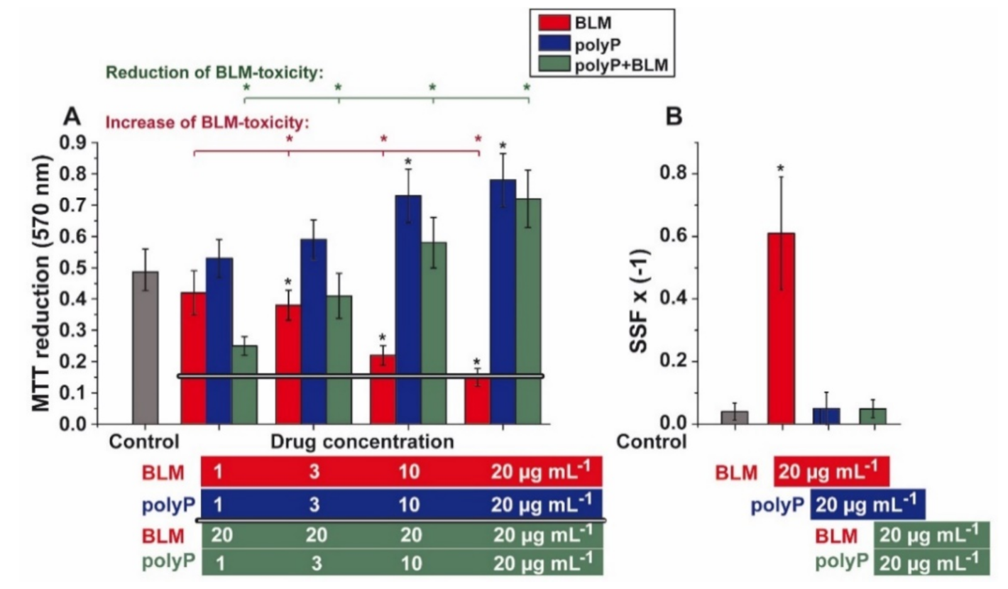 Cancers 13 00750 g003