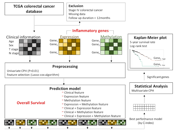 Cancers 13 00751 g001