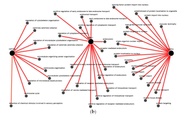 Cancers 13 00751 g003b