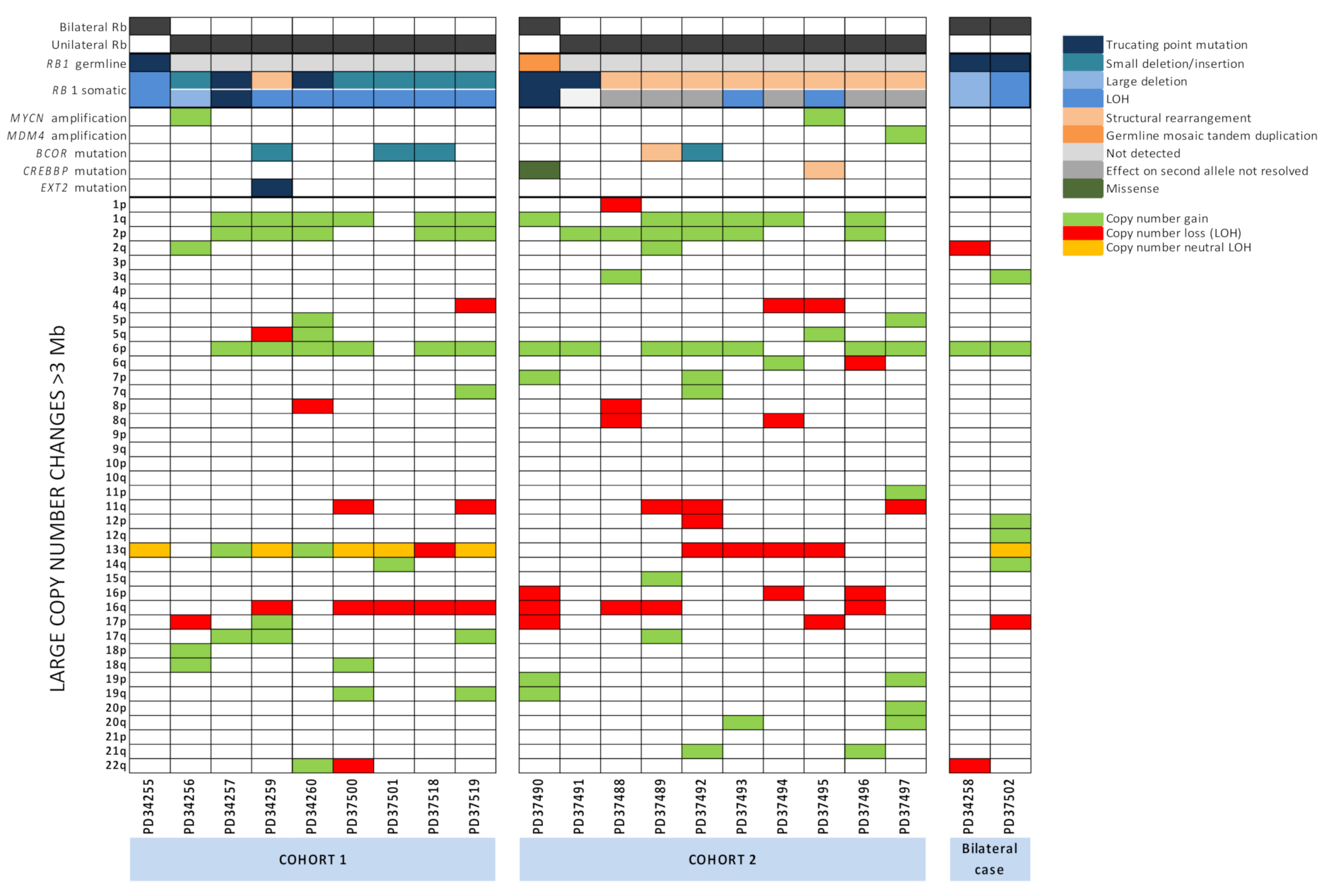 Cancers 13 00754 g001 Cancers 13 00754 g001