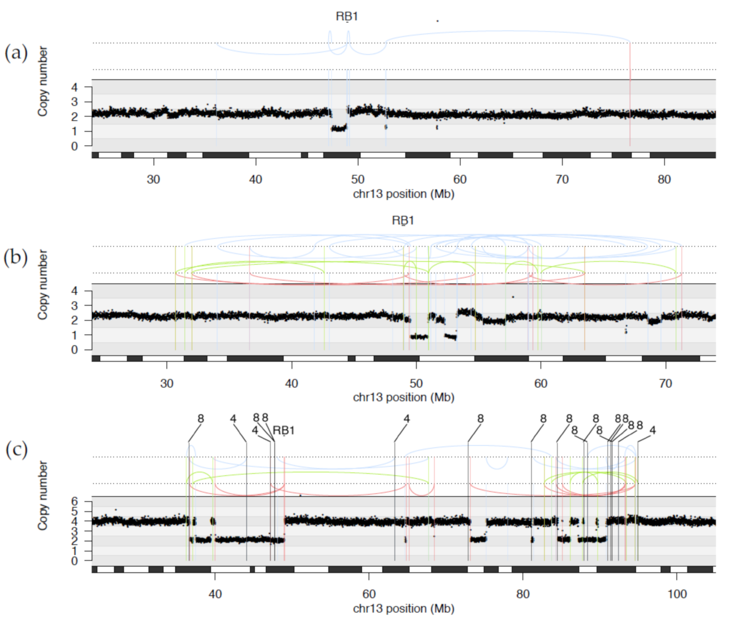 Cancers 13 00754 g002 Cancers 13 00754 g002
