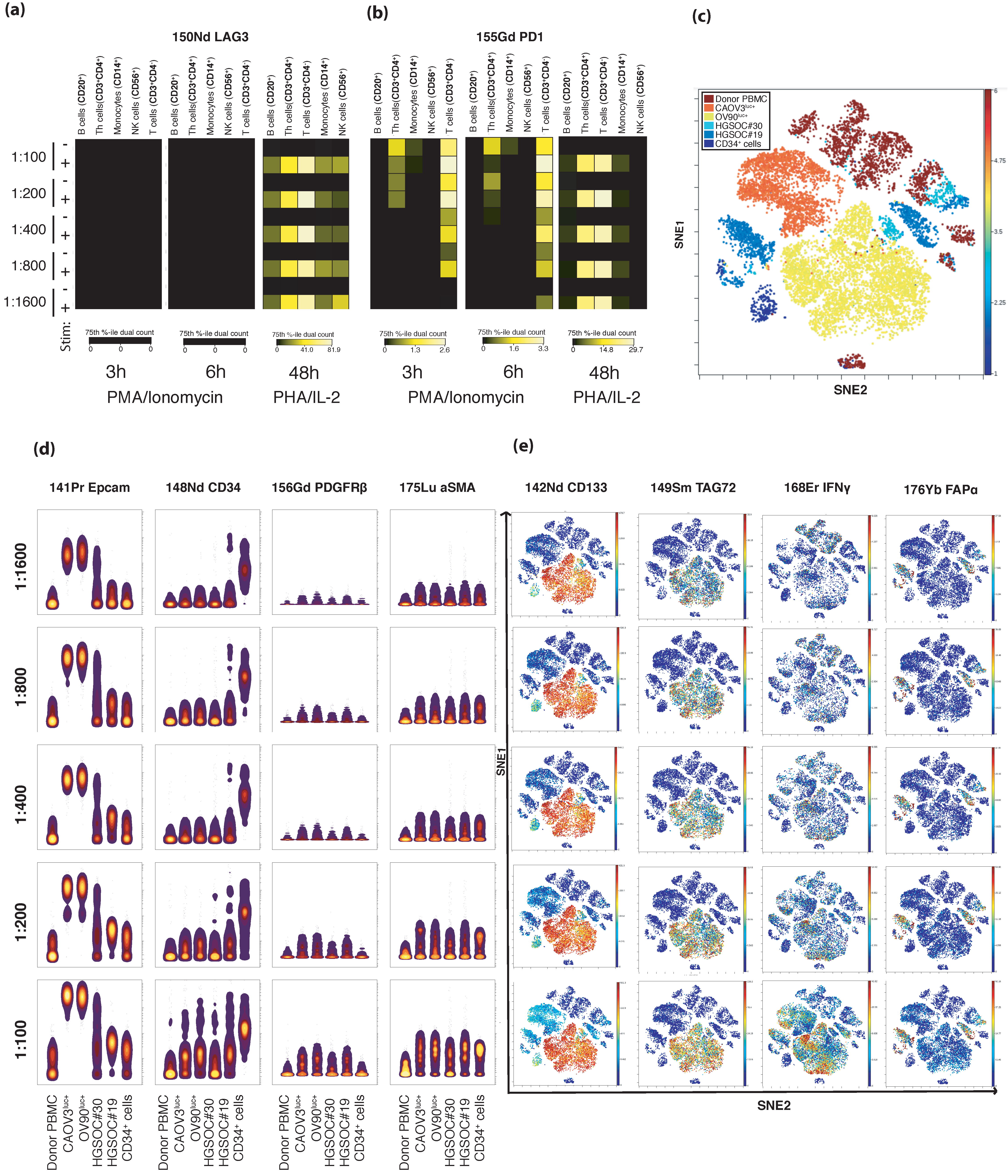 Cancers 13 00755 g001