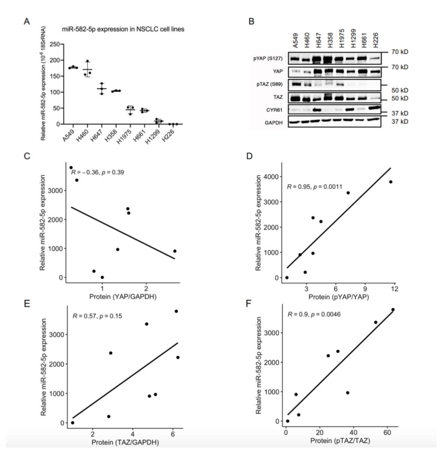 Cancers 13 00756 g001