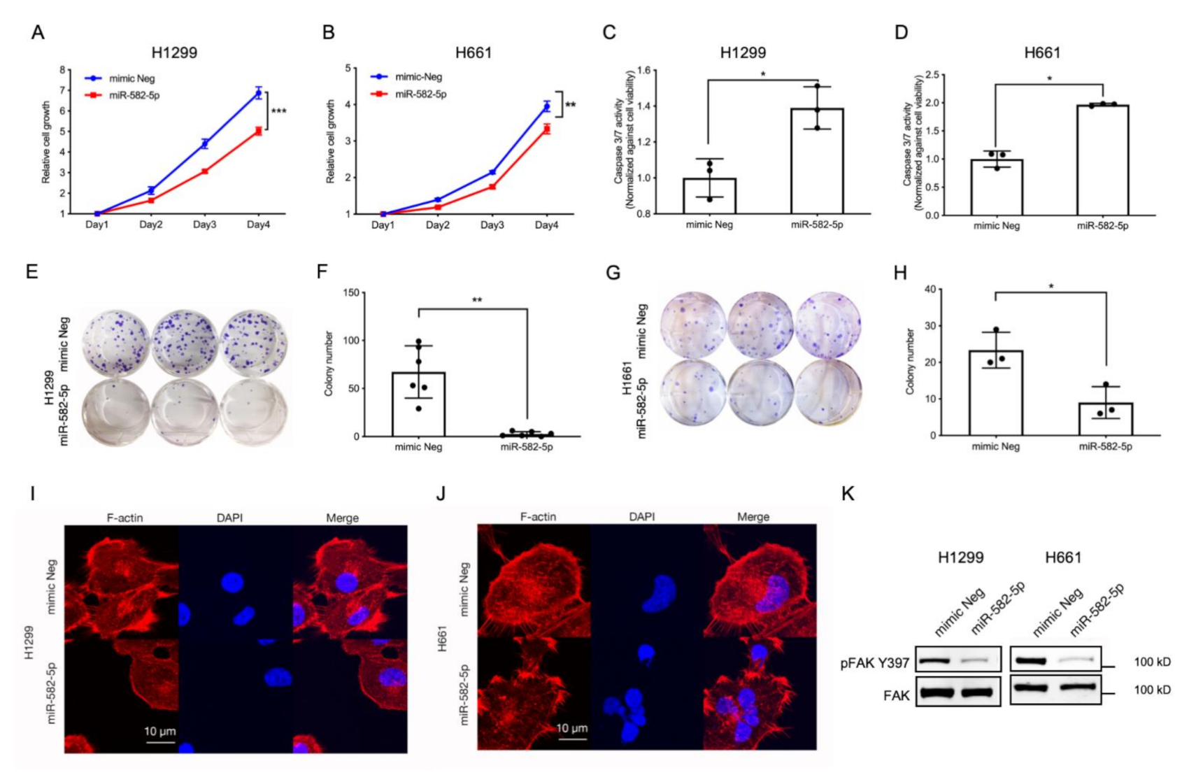 Cancers 13 00756 g003