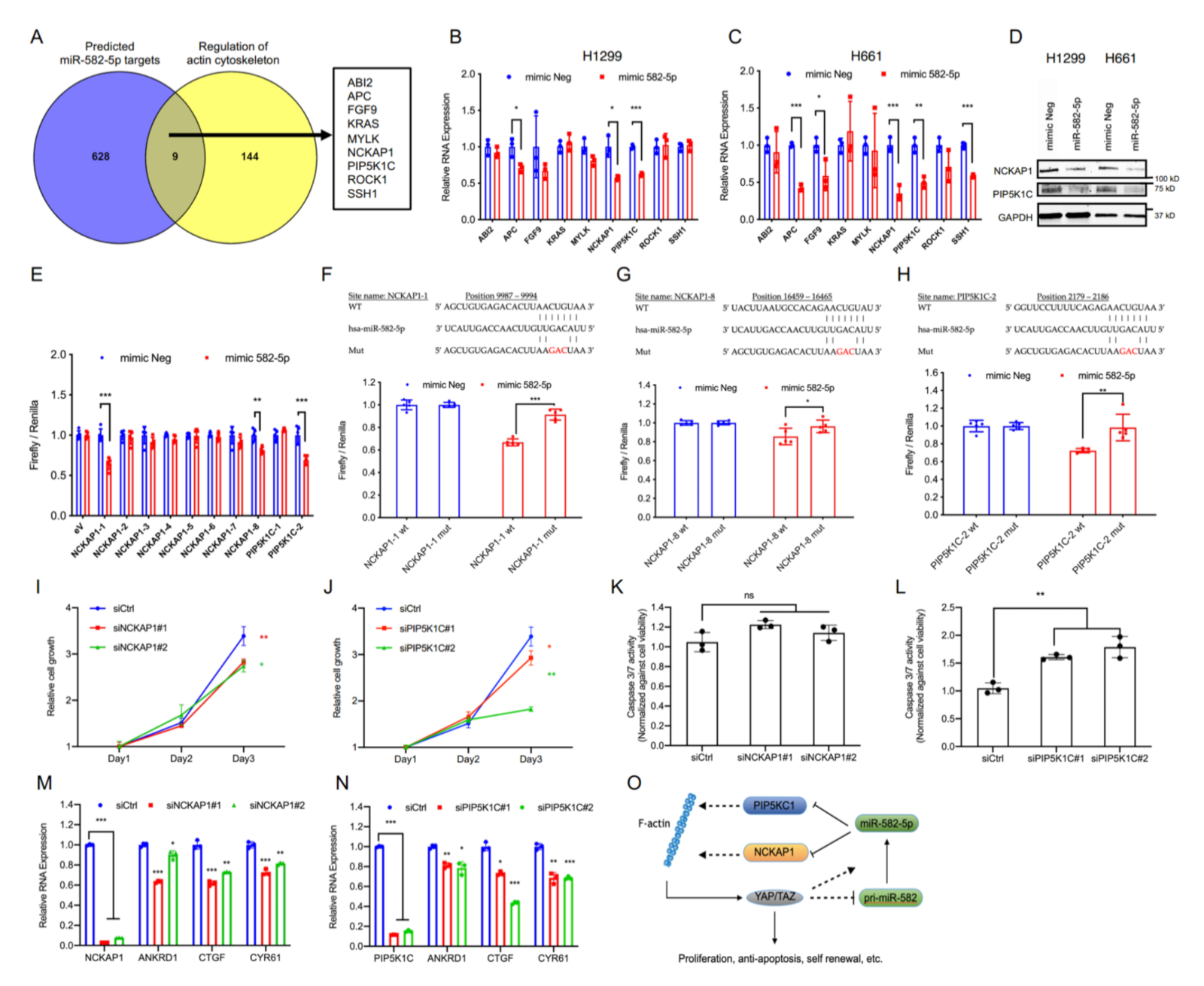 Cancers 13 00756 g004